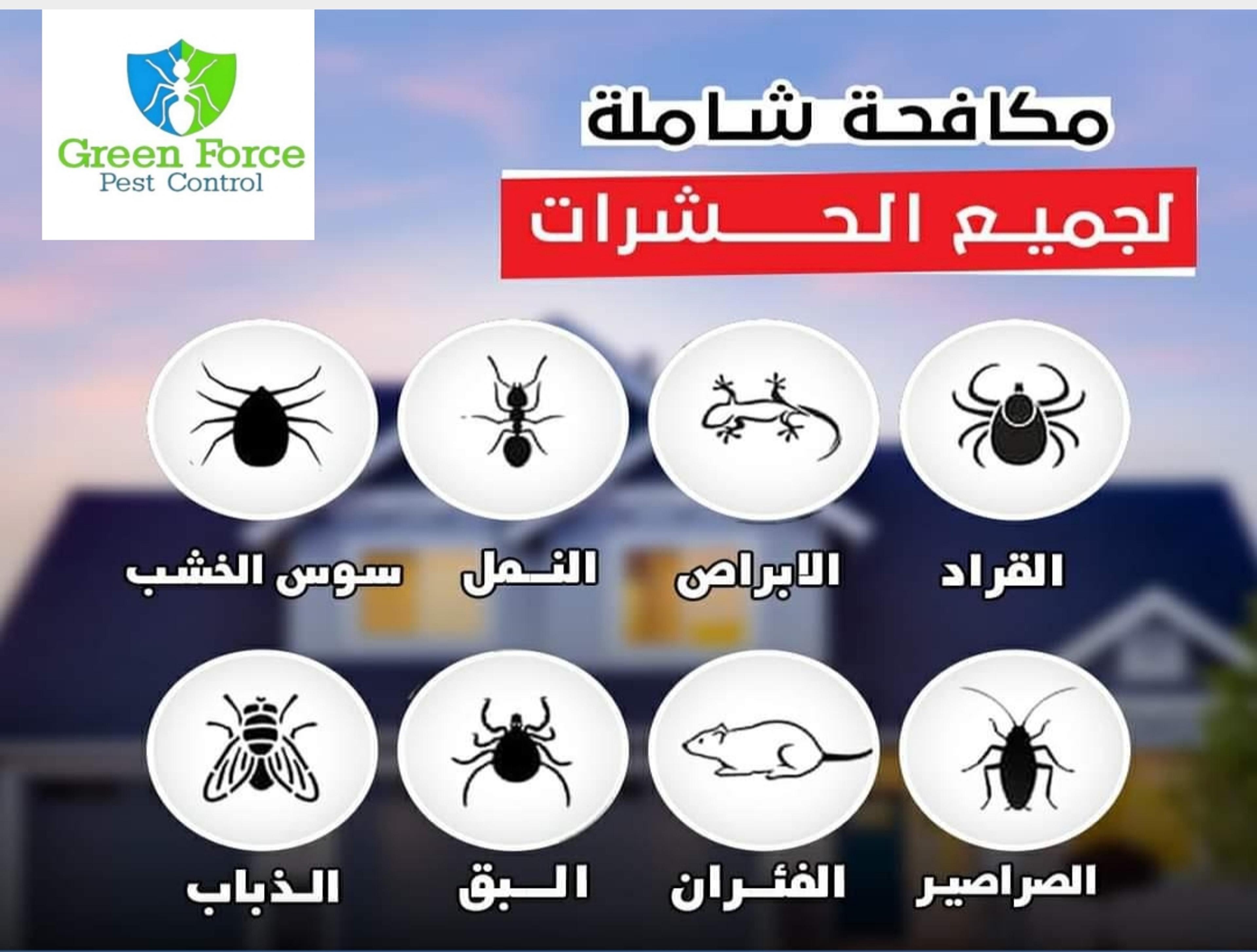 مؤسسه جرين فورس