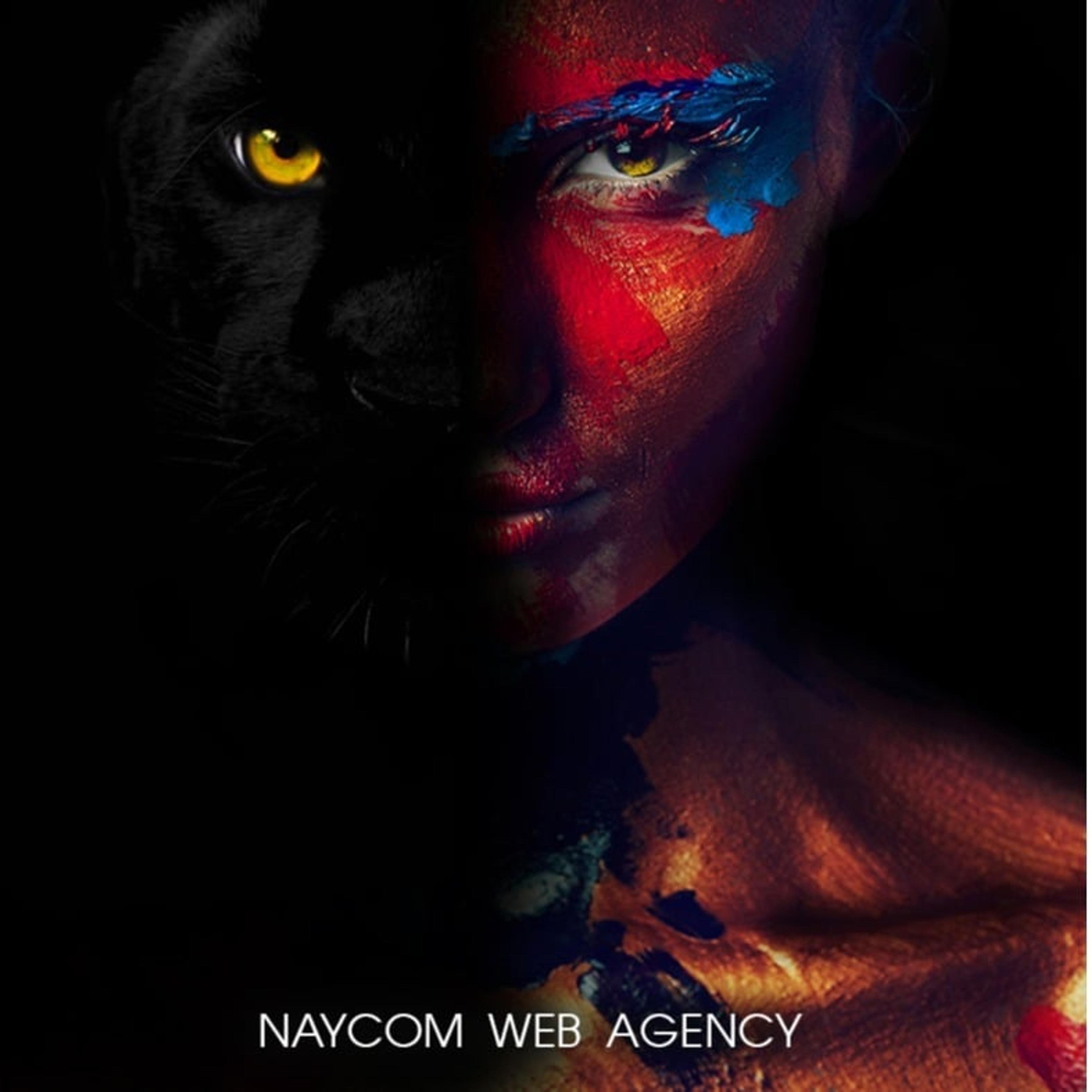 NAYCOM AGENCY SOFTWARE HOUSE