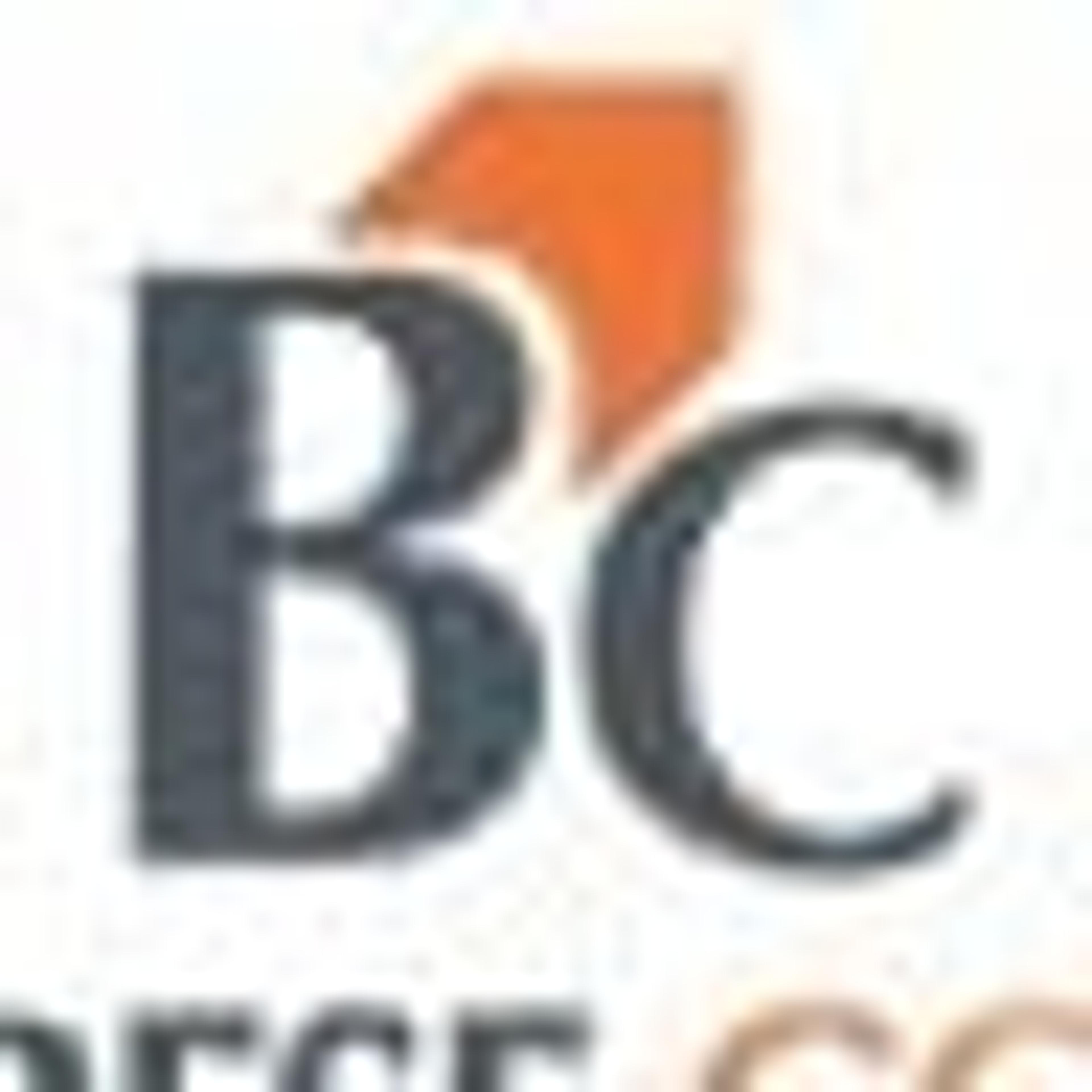 BORGHERESE CONSULERE SRL