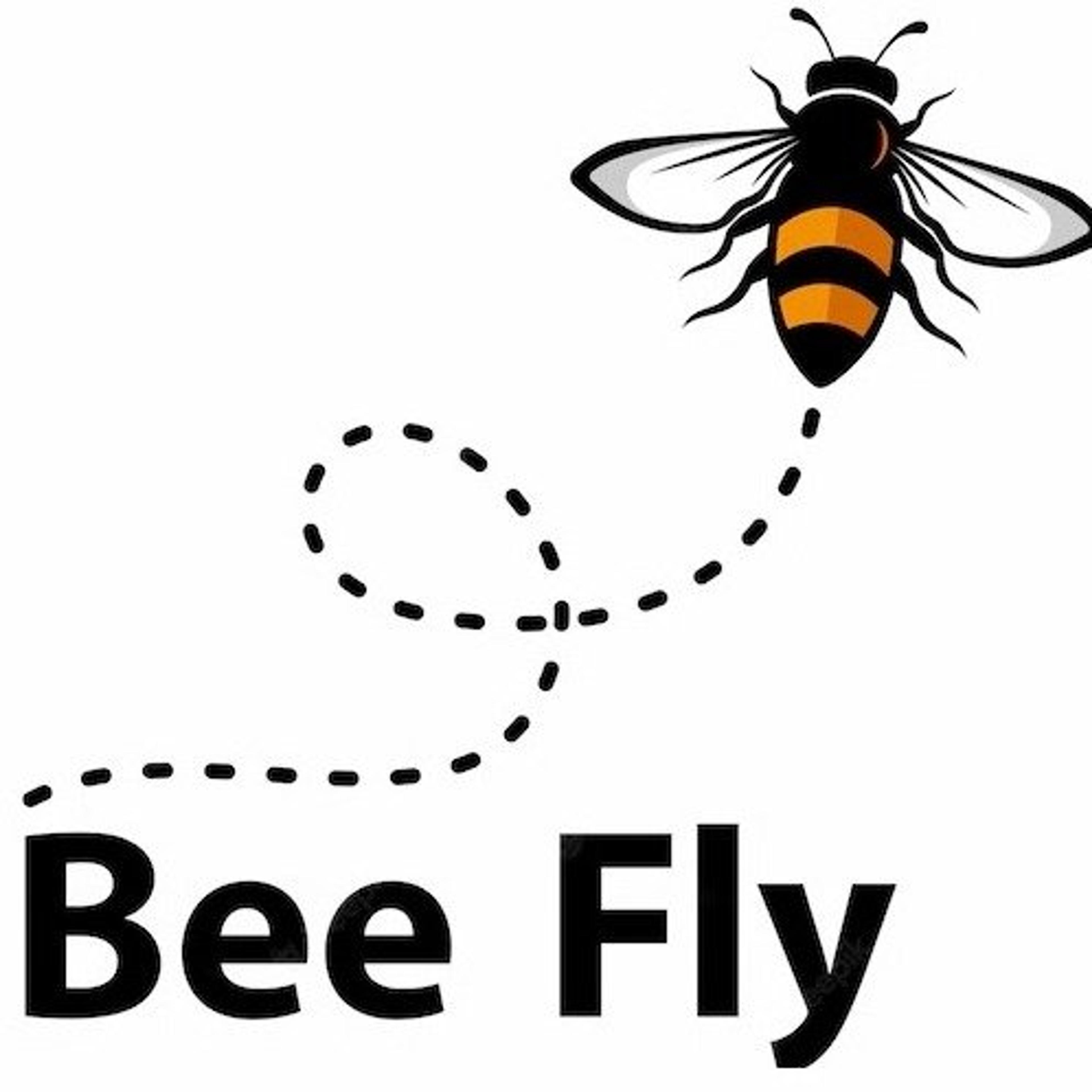 Bee Fly