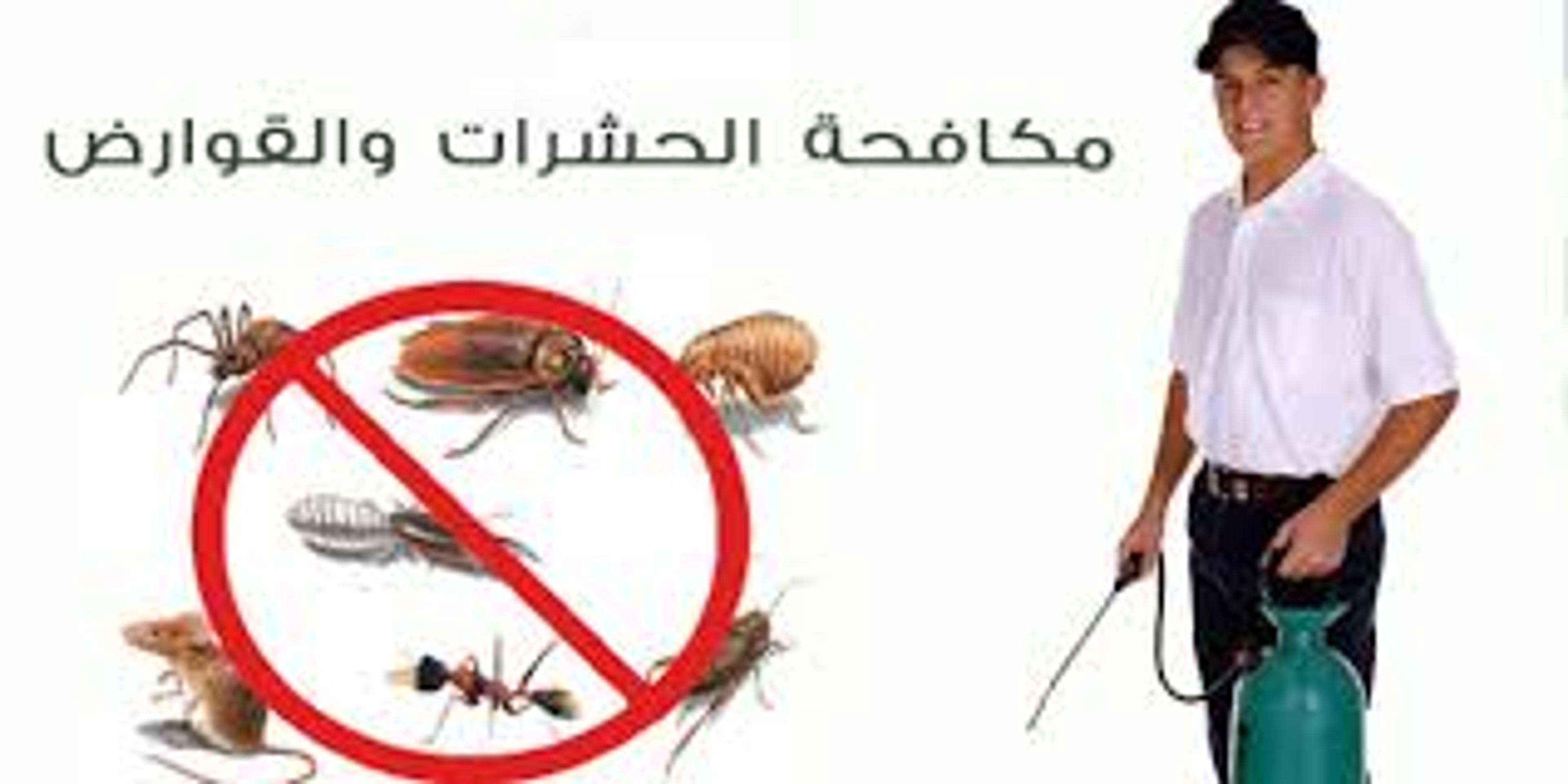 الشركه المصريه