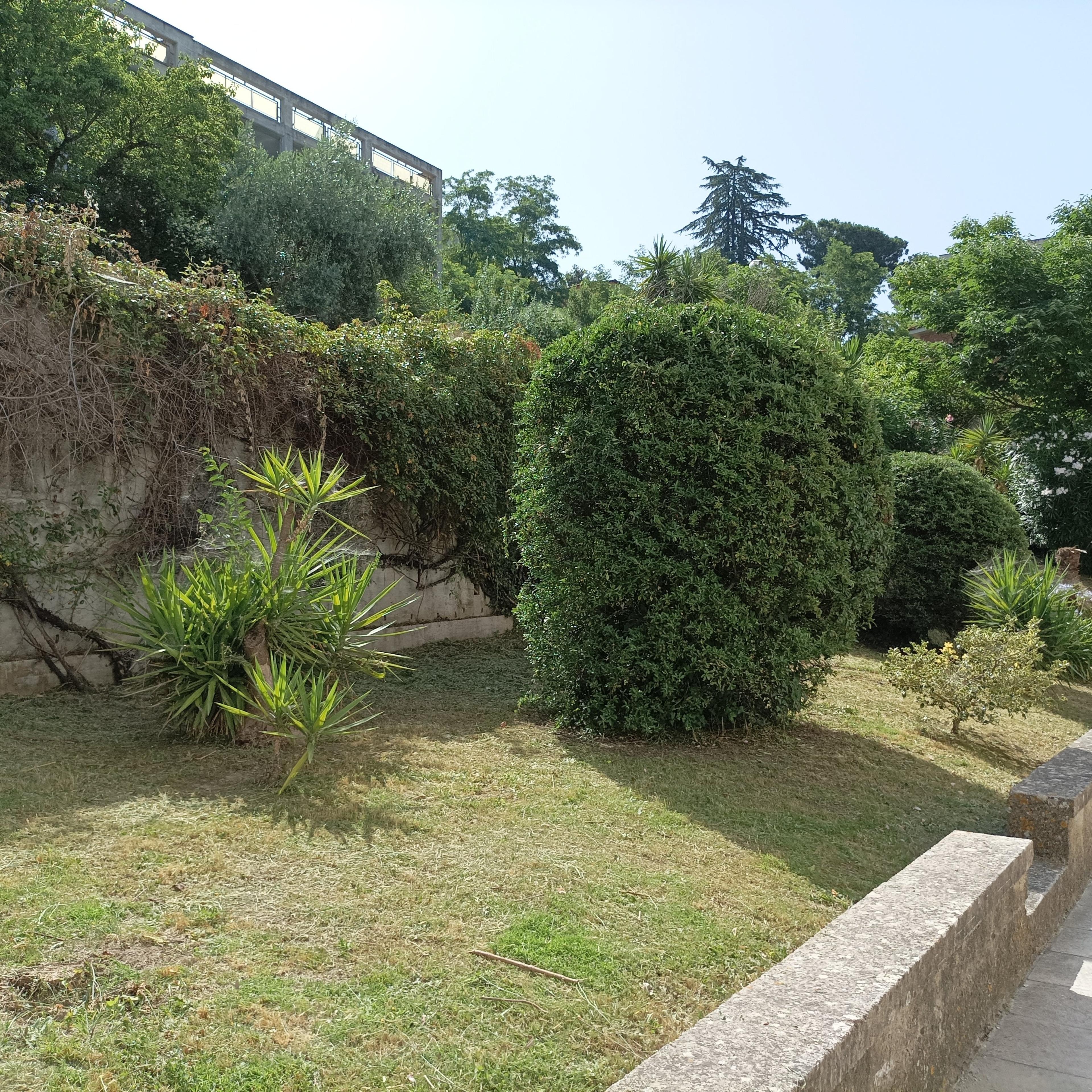 Green Service Di Fondi Francesca