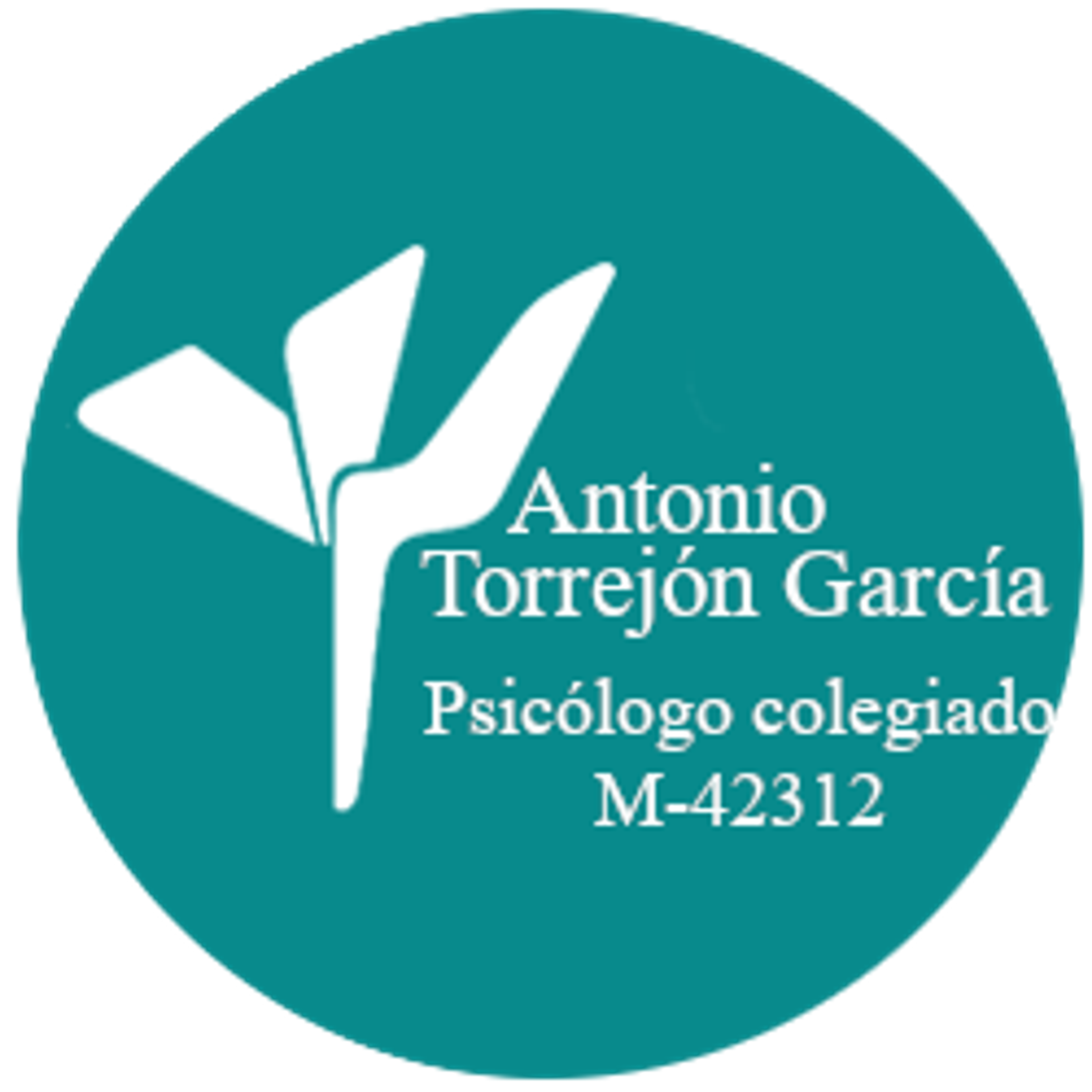 Antonio Torrejón García