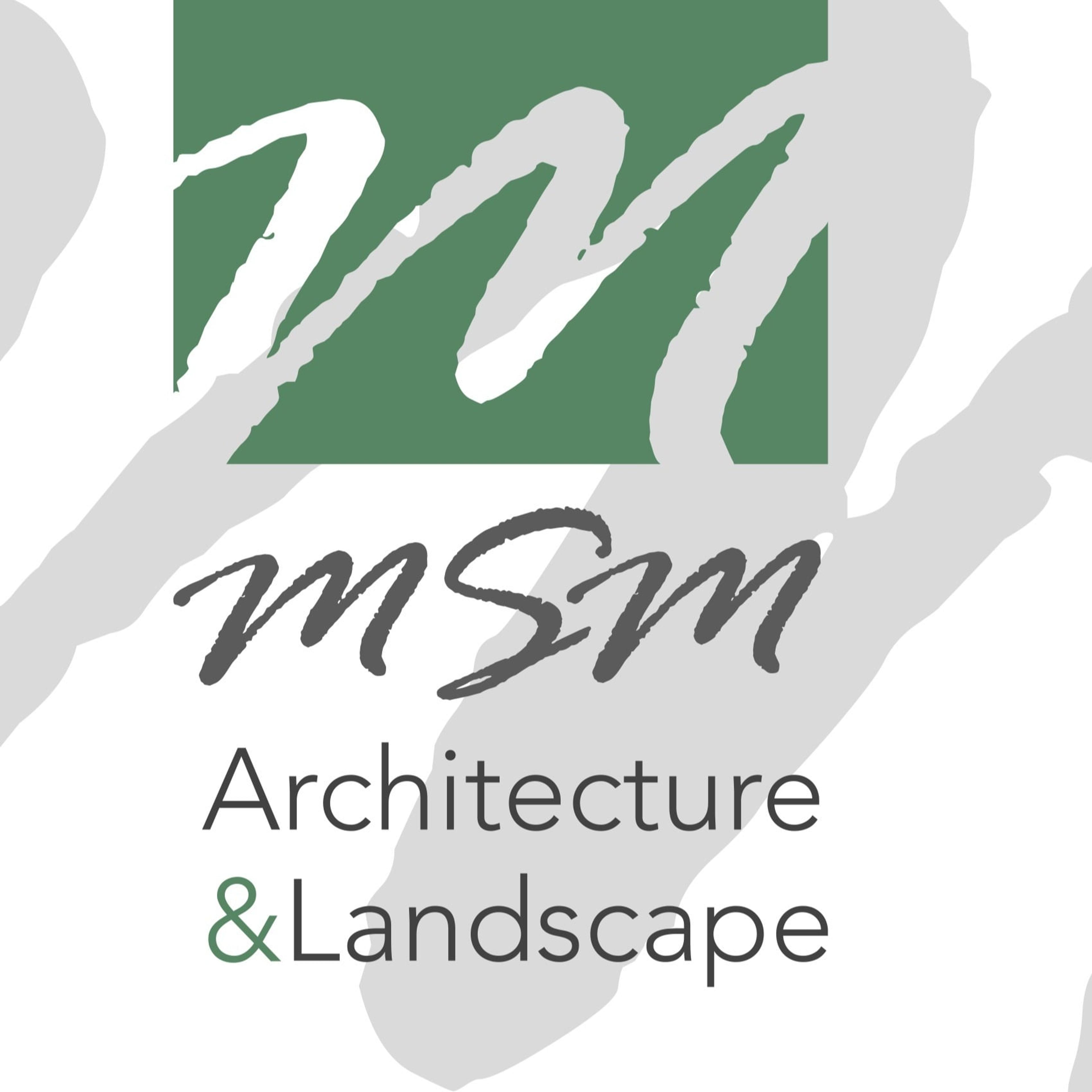 MSM estudio