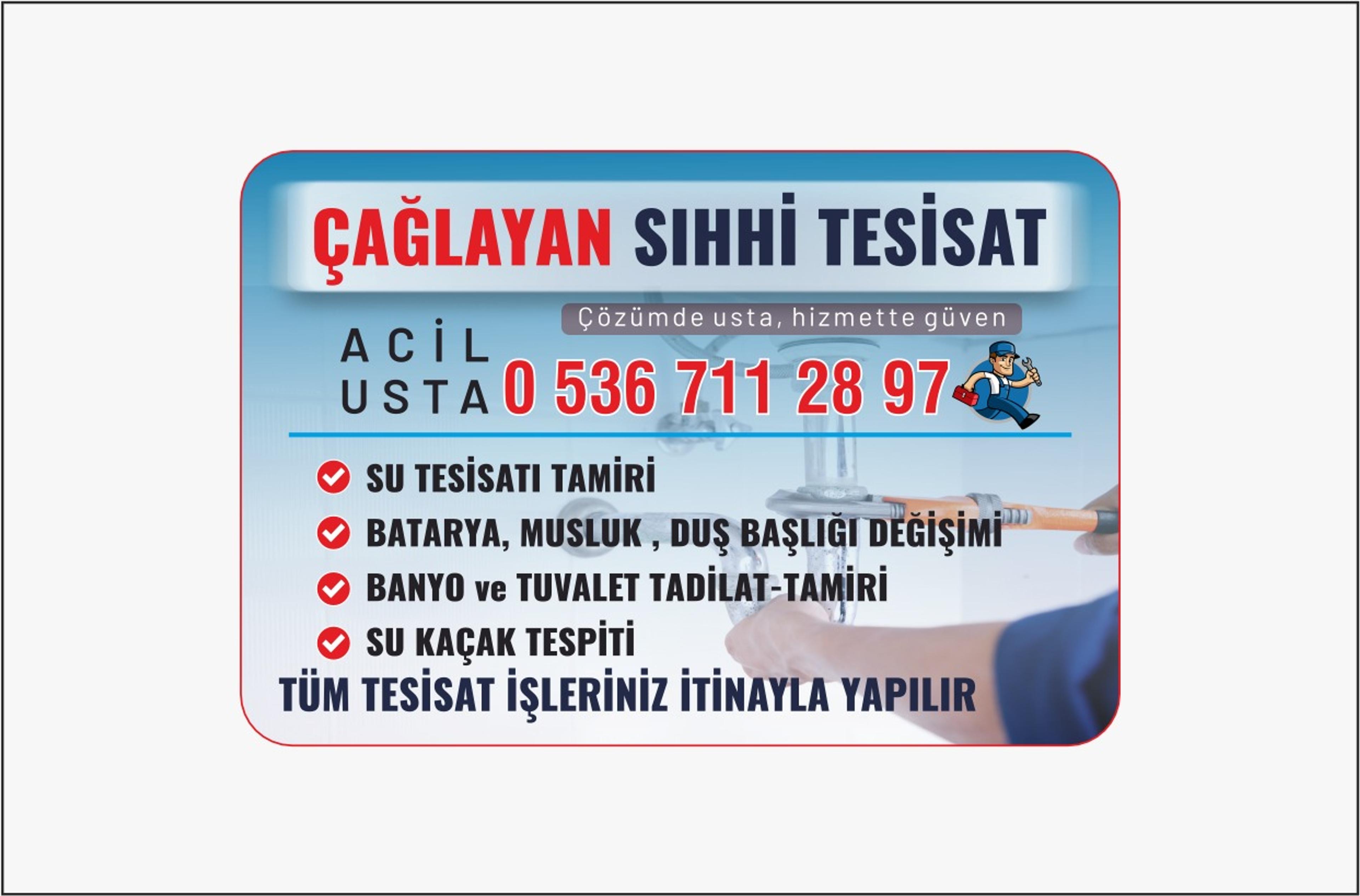 Tolga Koyun