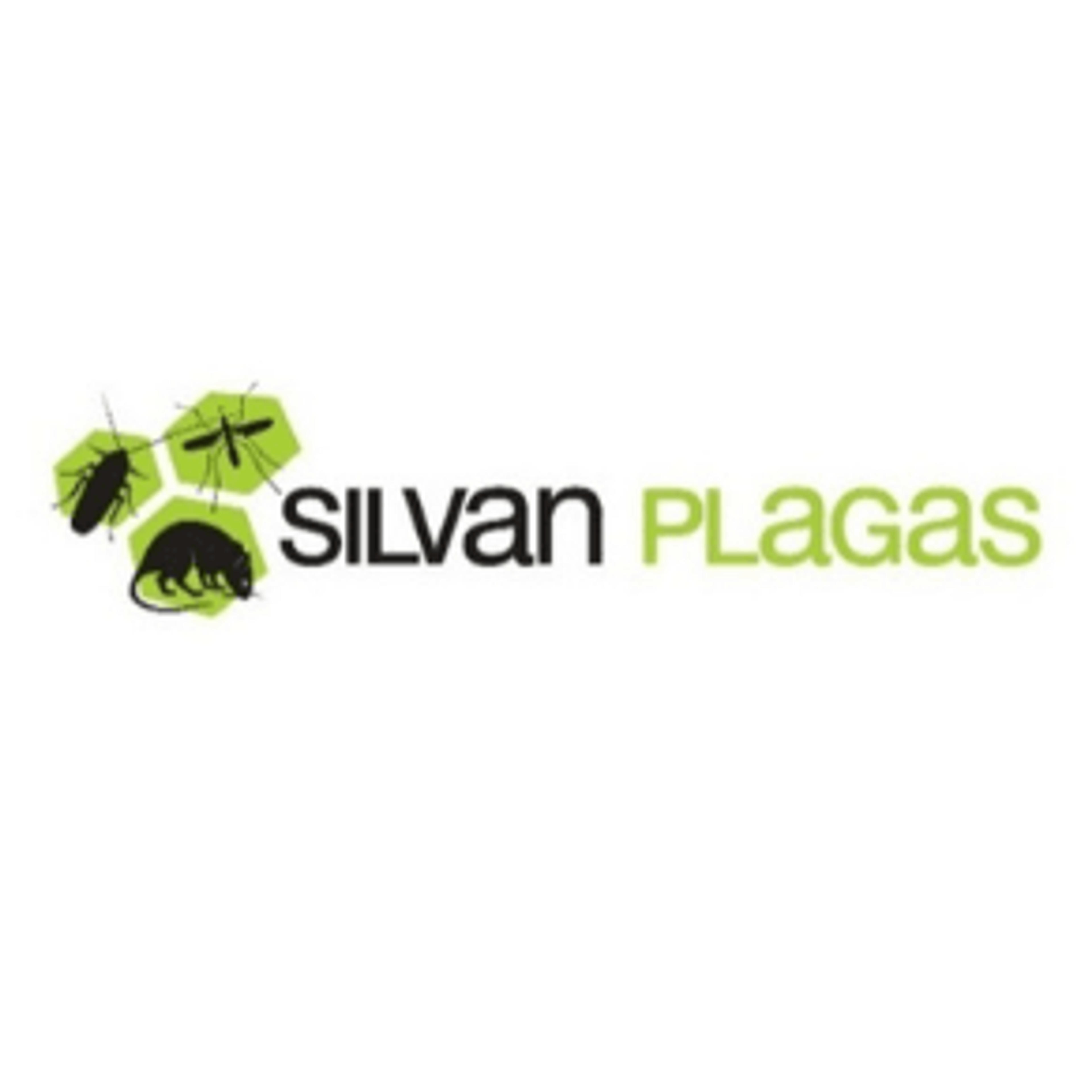 Silvan Plagas