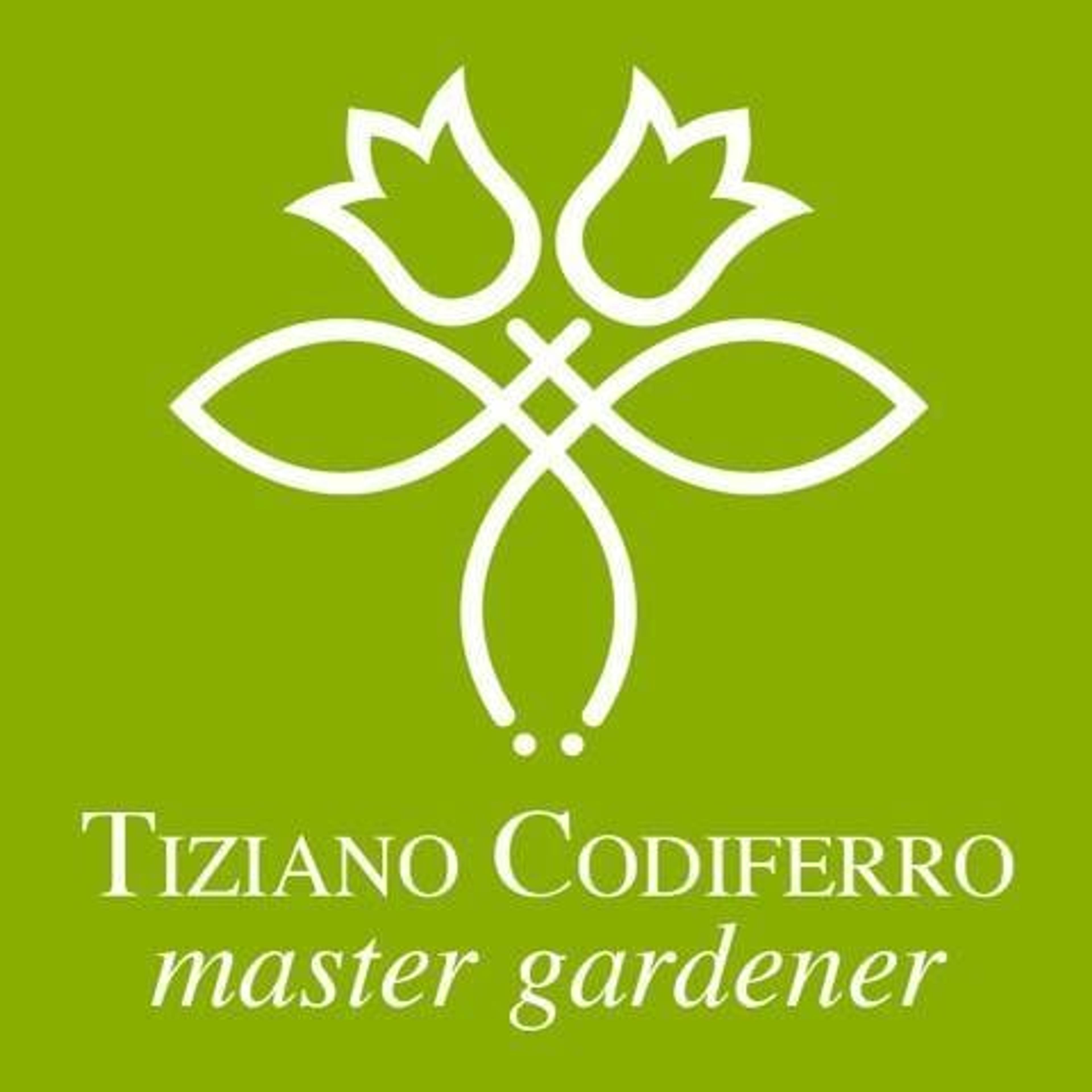 Tiziano Codiferro