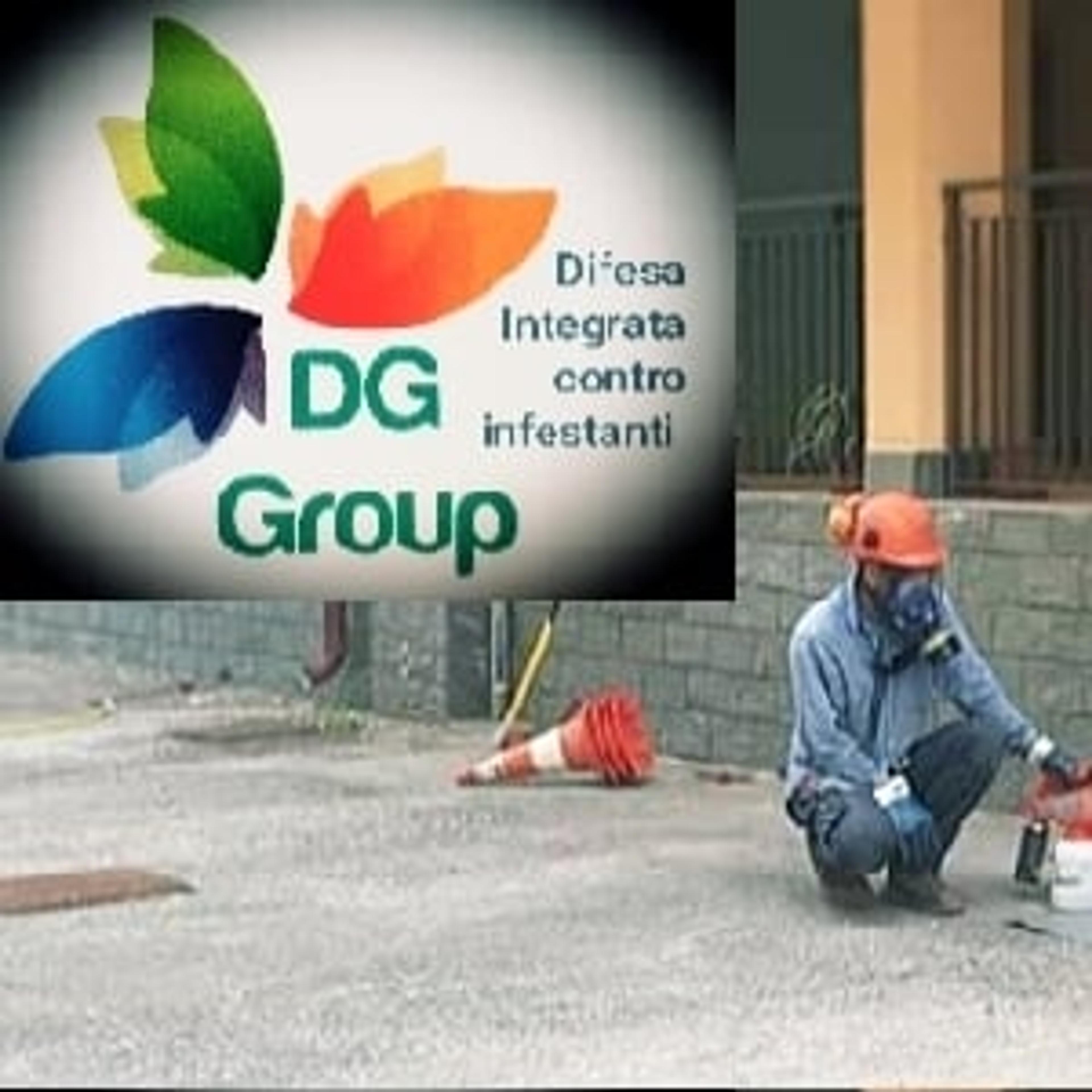 DG Group