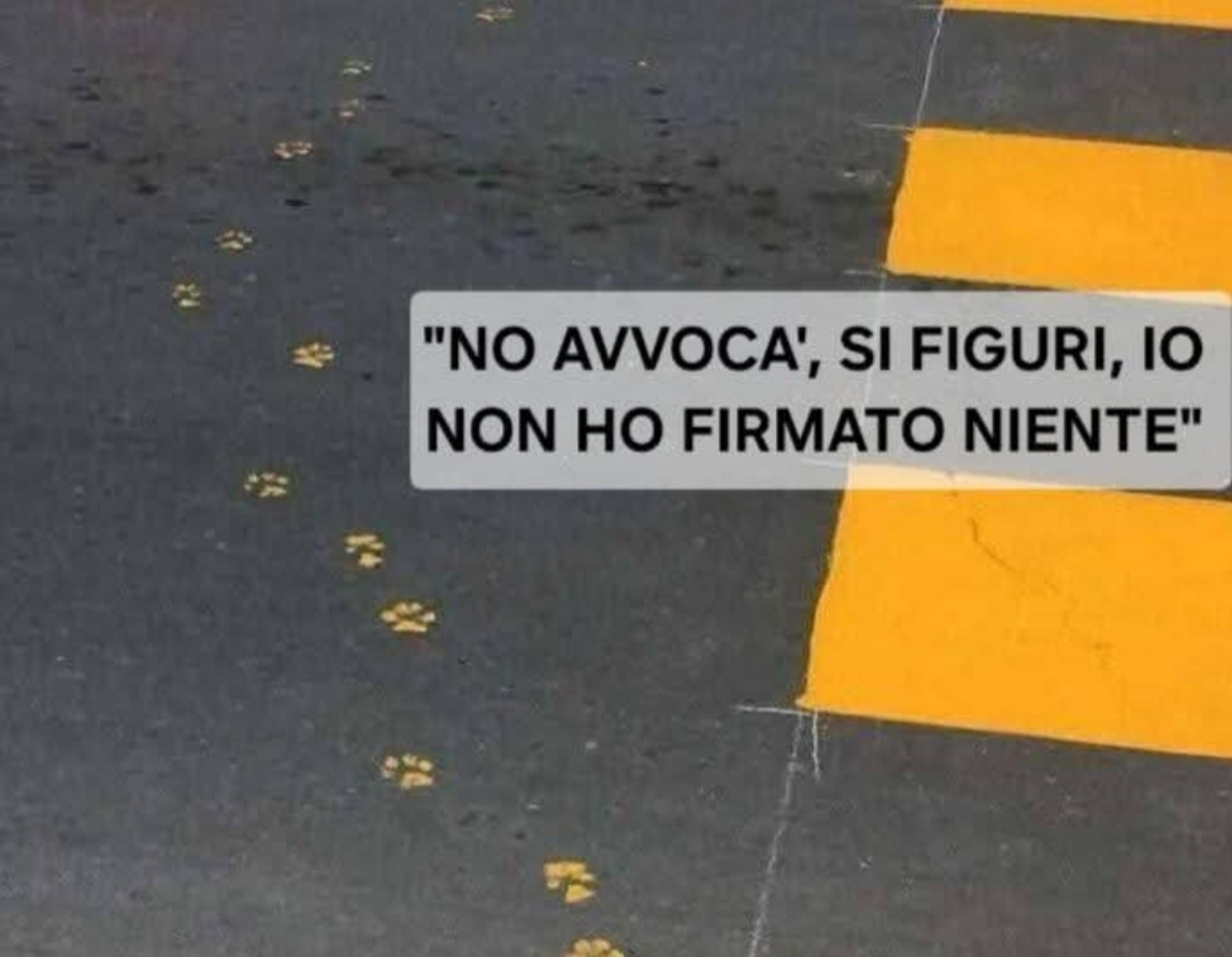 Fanny Ceccherini
