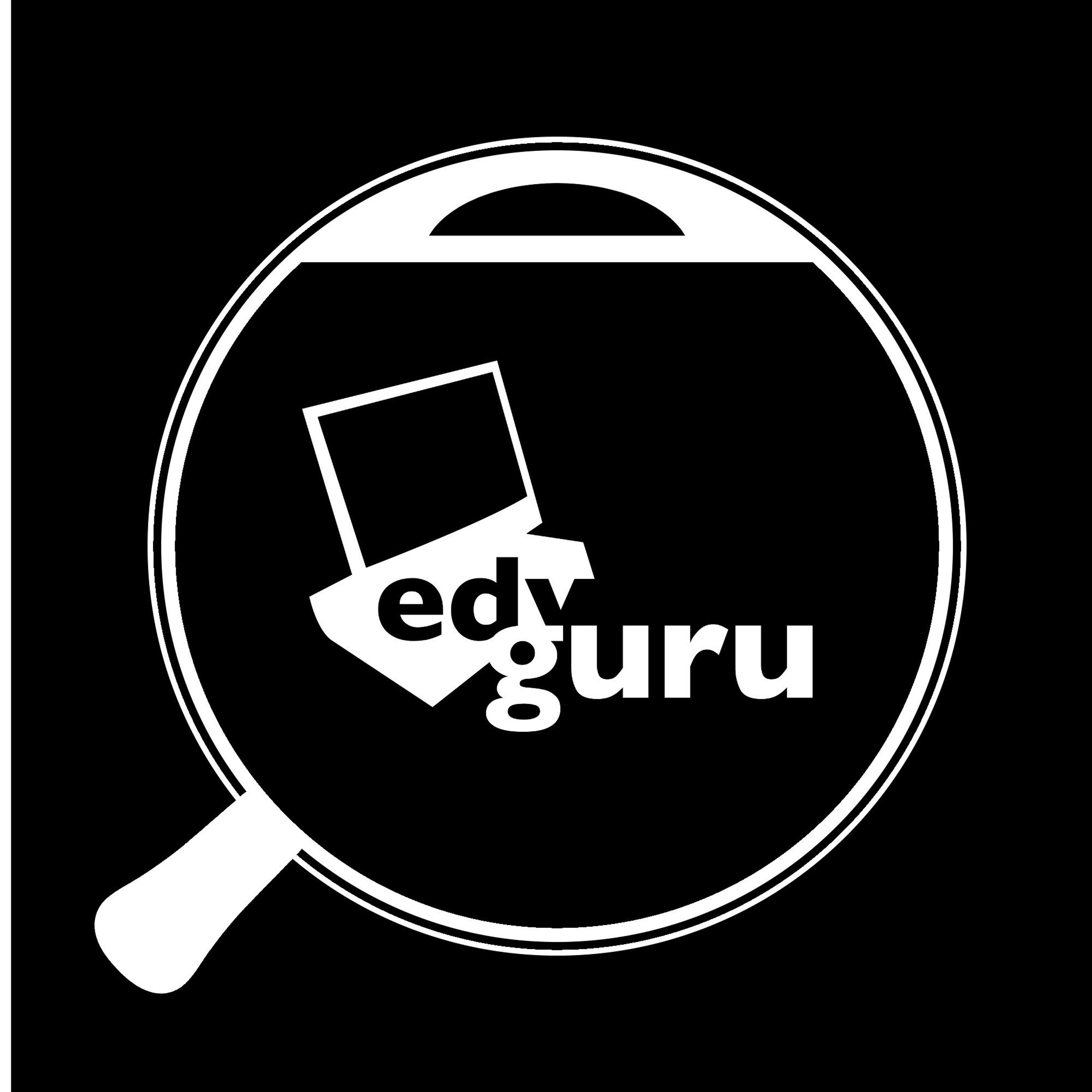 EDV-Guru
