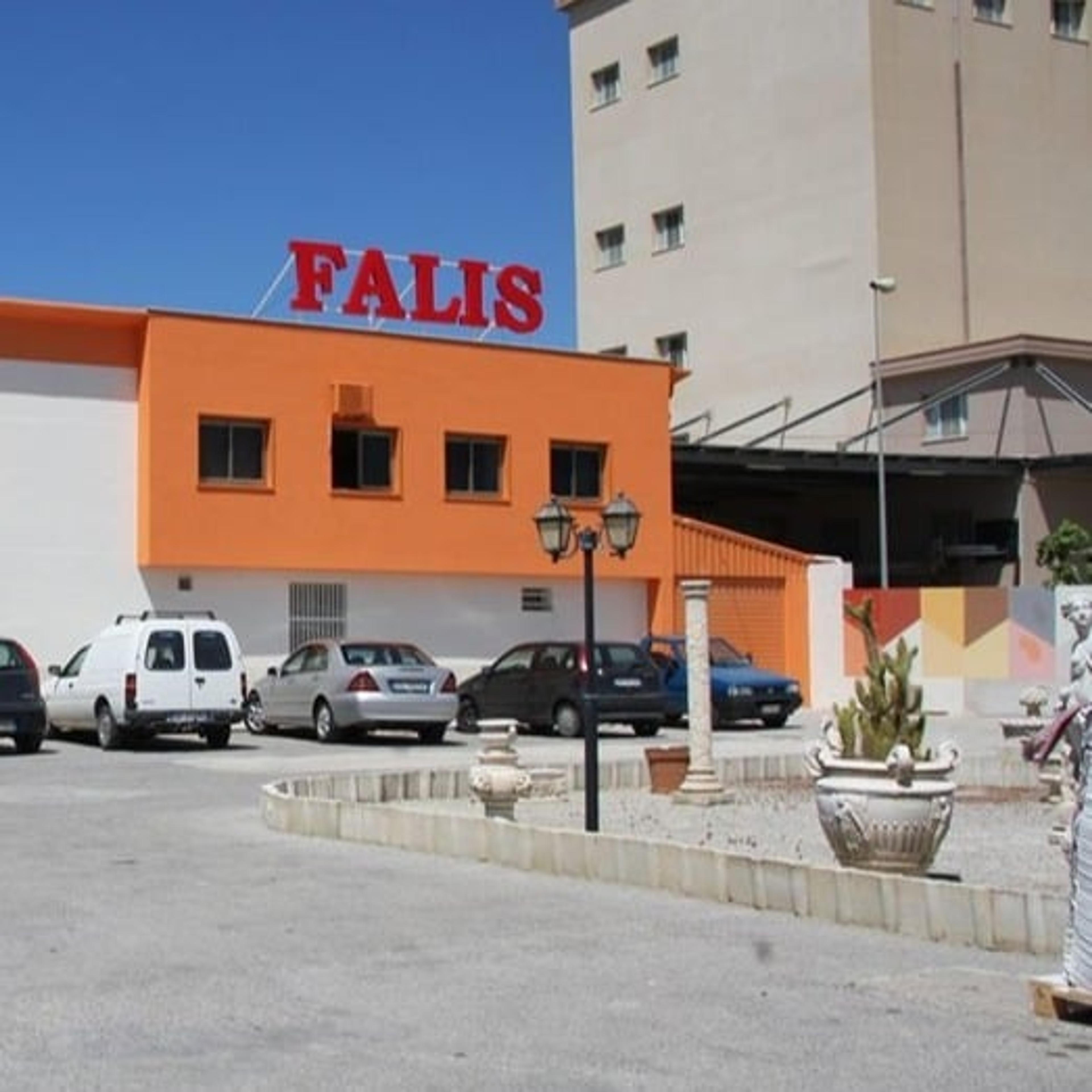 Falis s.n.c