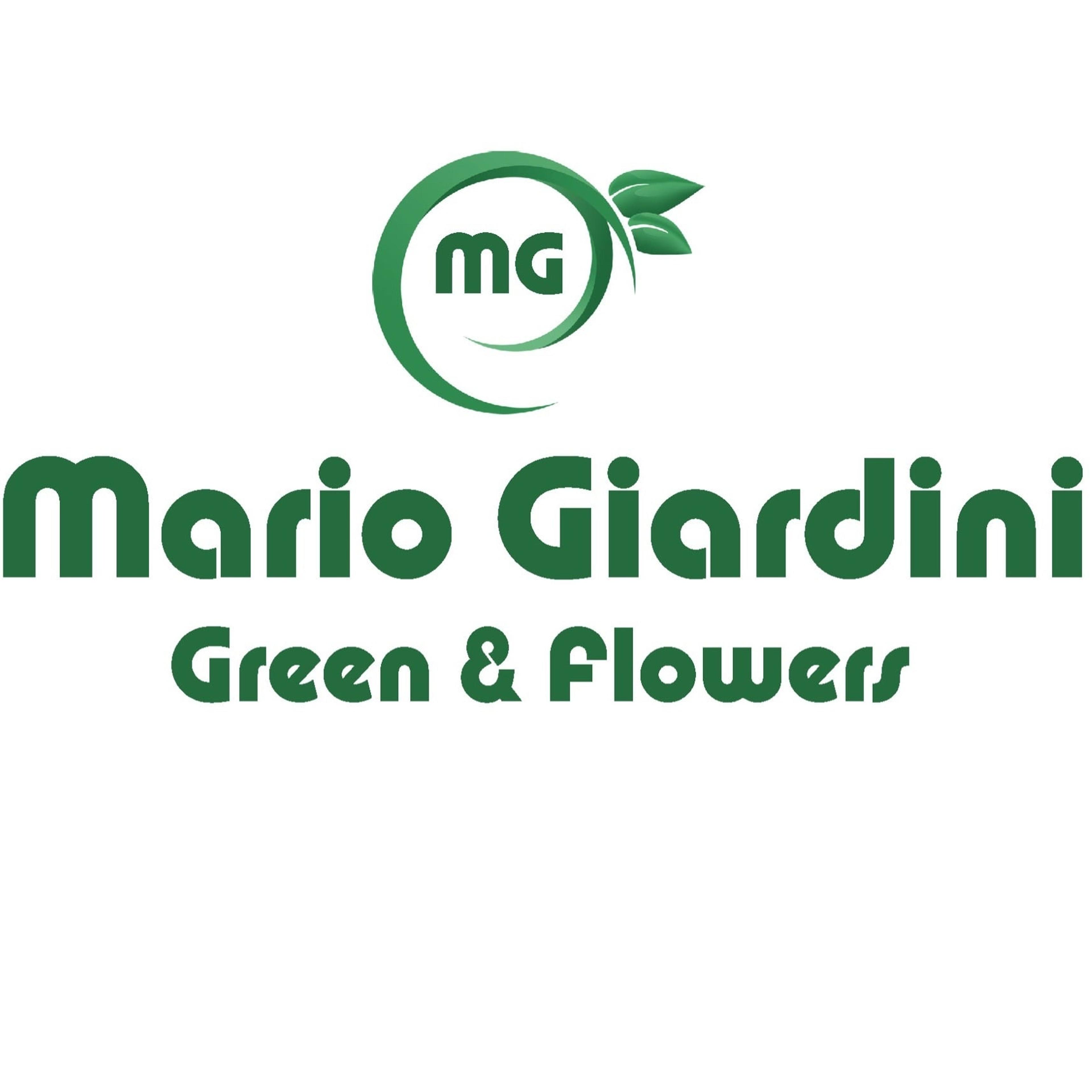 Mario Giardini