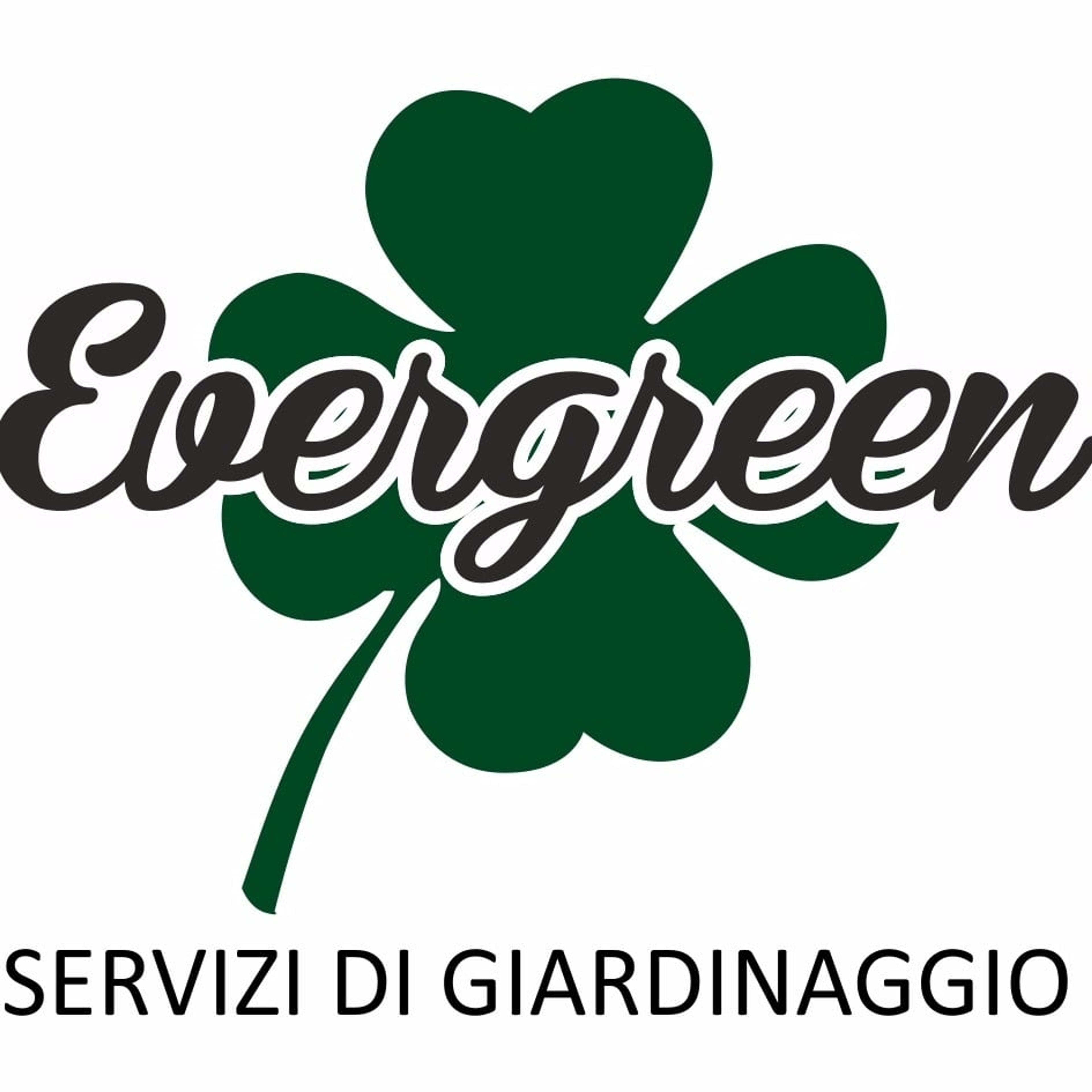 EVERGREEN DI MUNNO DAMIANO
