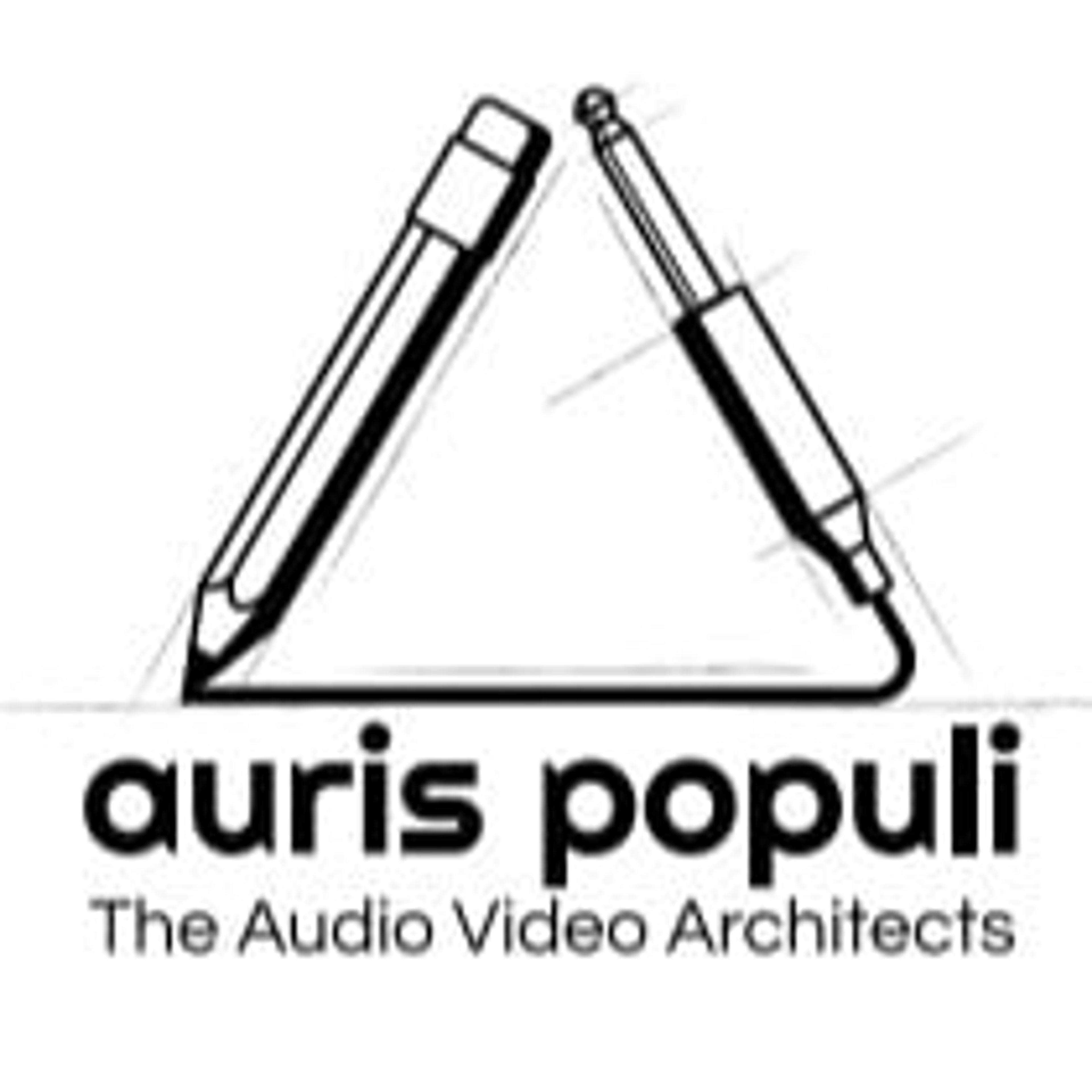 Auris populi di marco itta