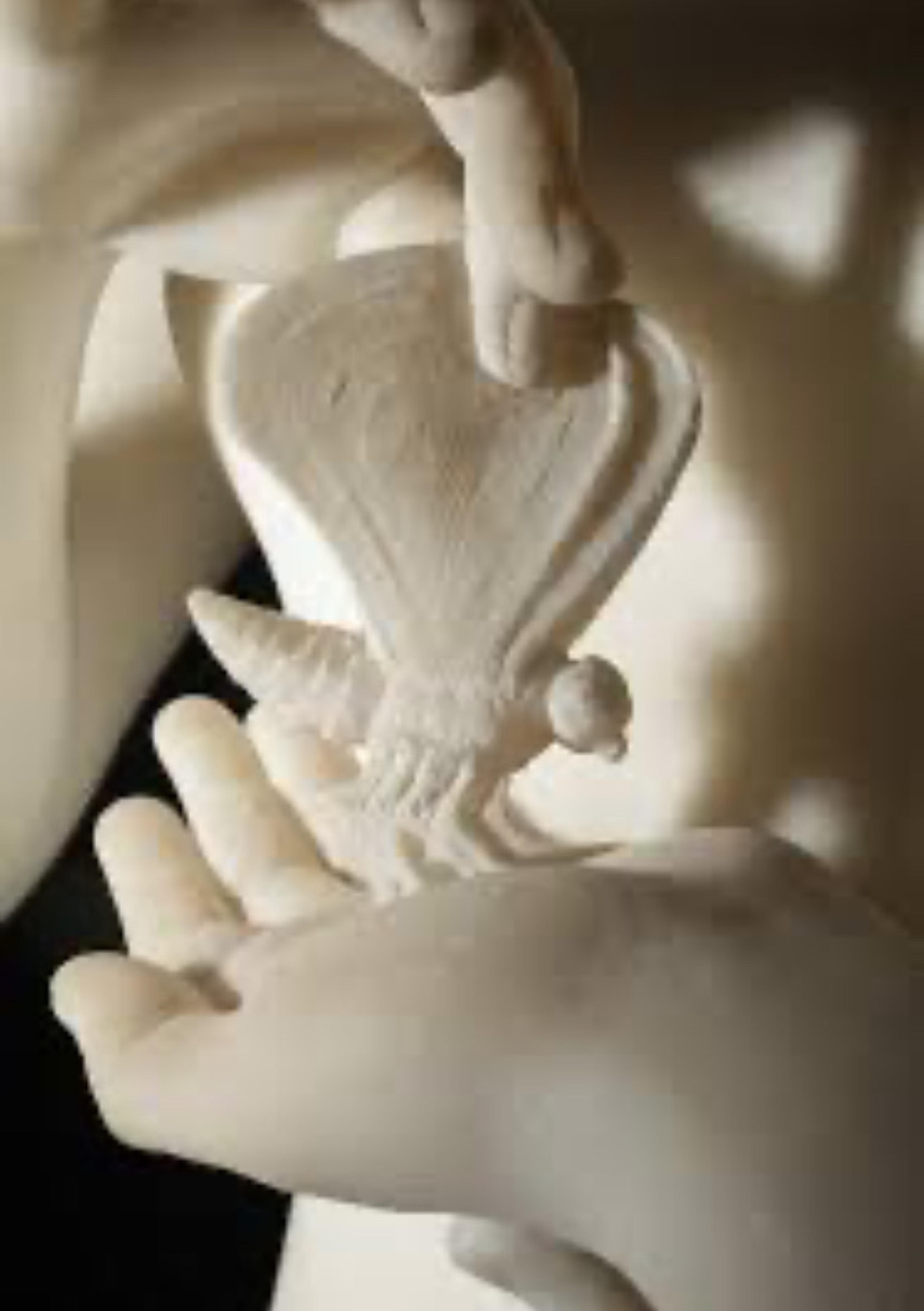 Elisabetta Pelliccia