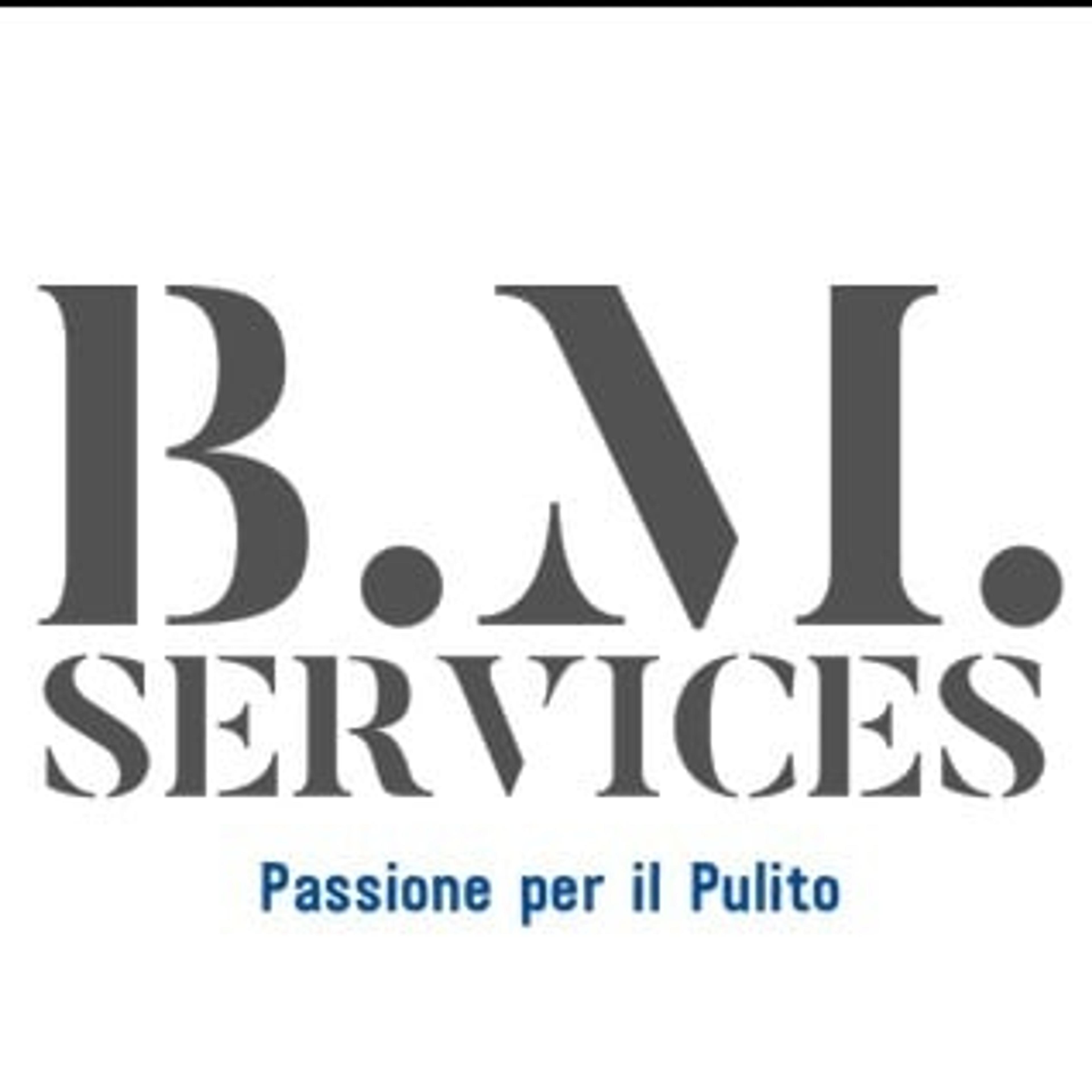 B.M.SERVICES DI BARONI MARCO