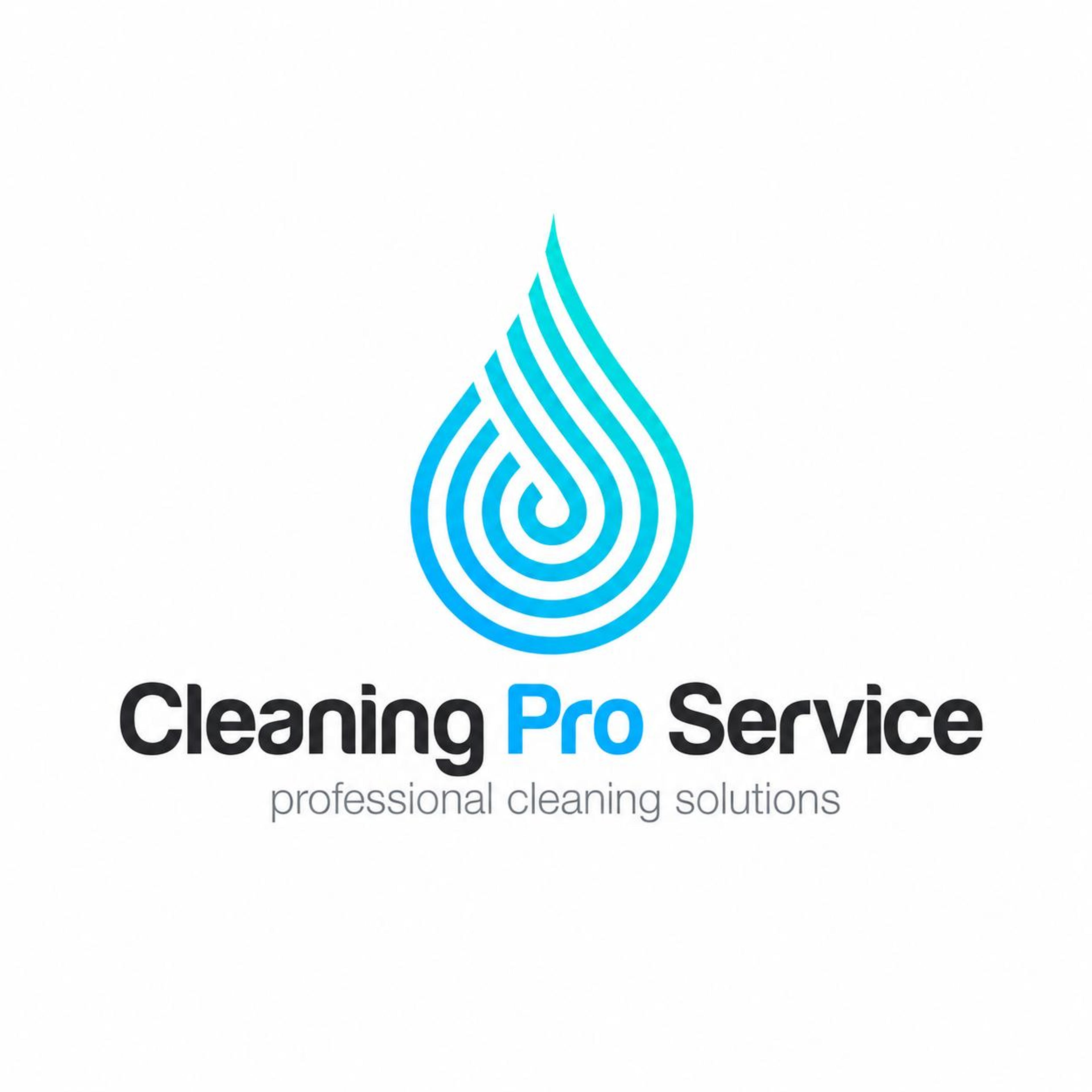Cleaning Pro Service Di Cantos Jessica