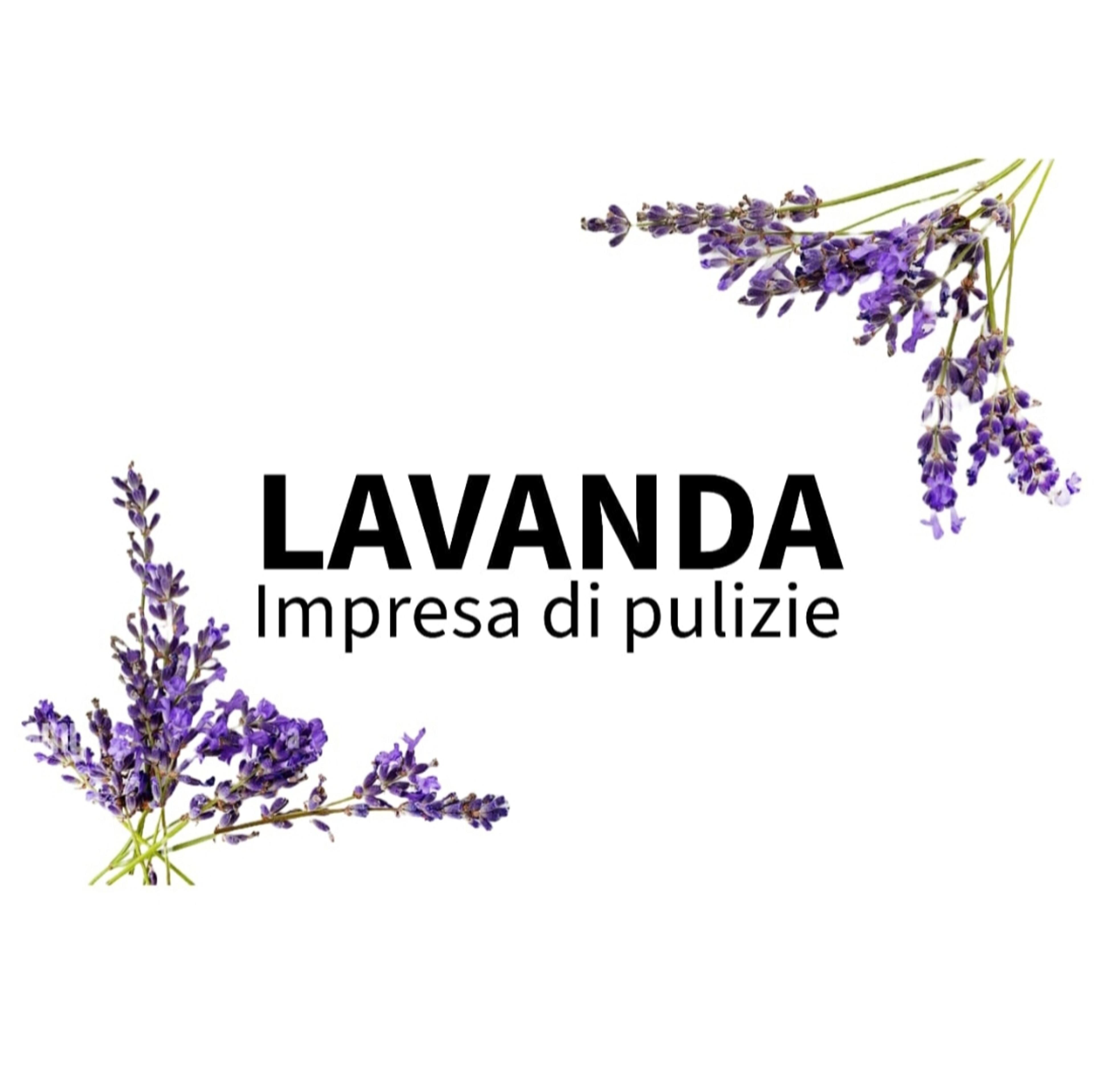 Lavanda Pulizie