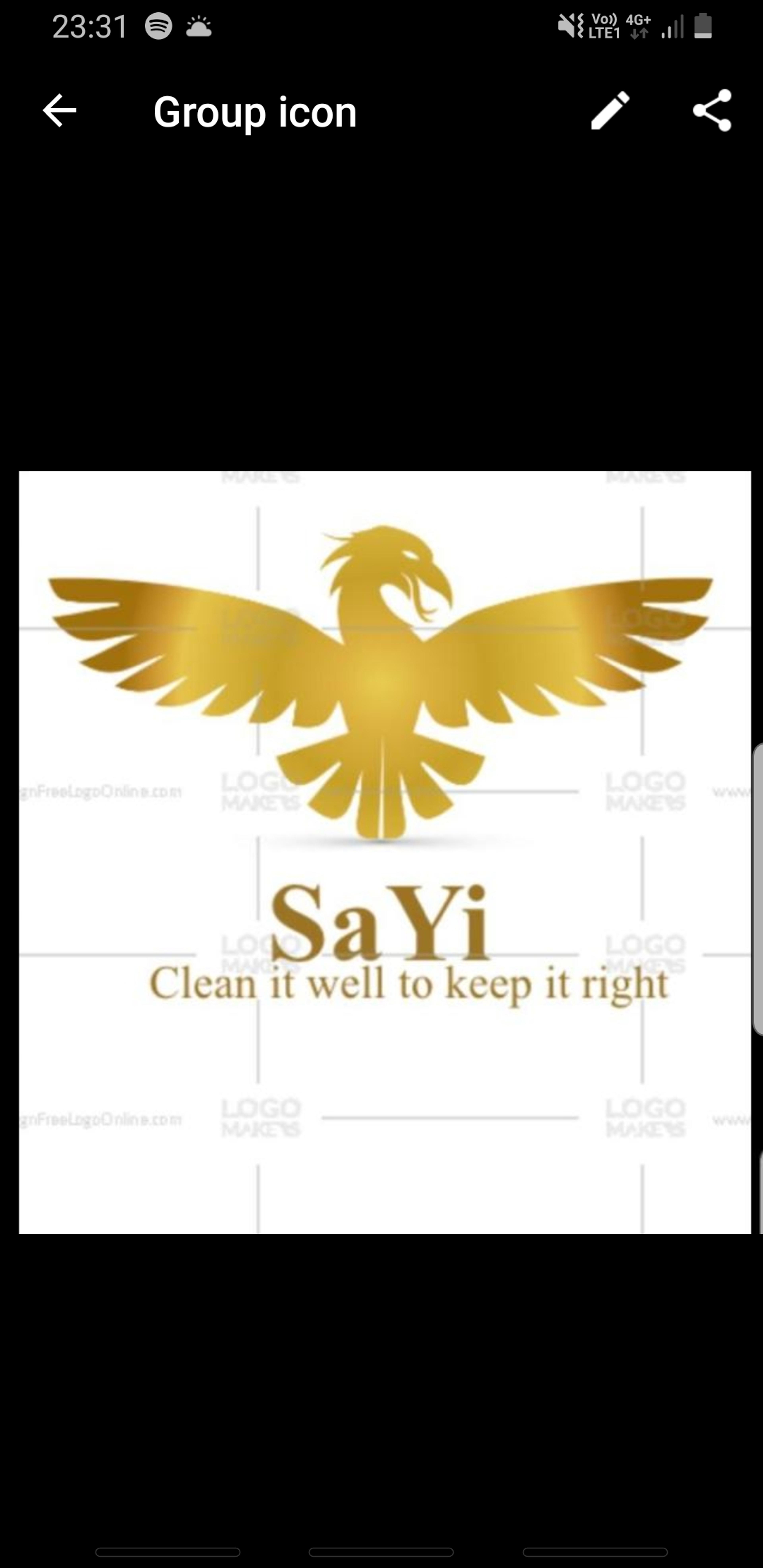 SAYI cleaning se
