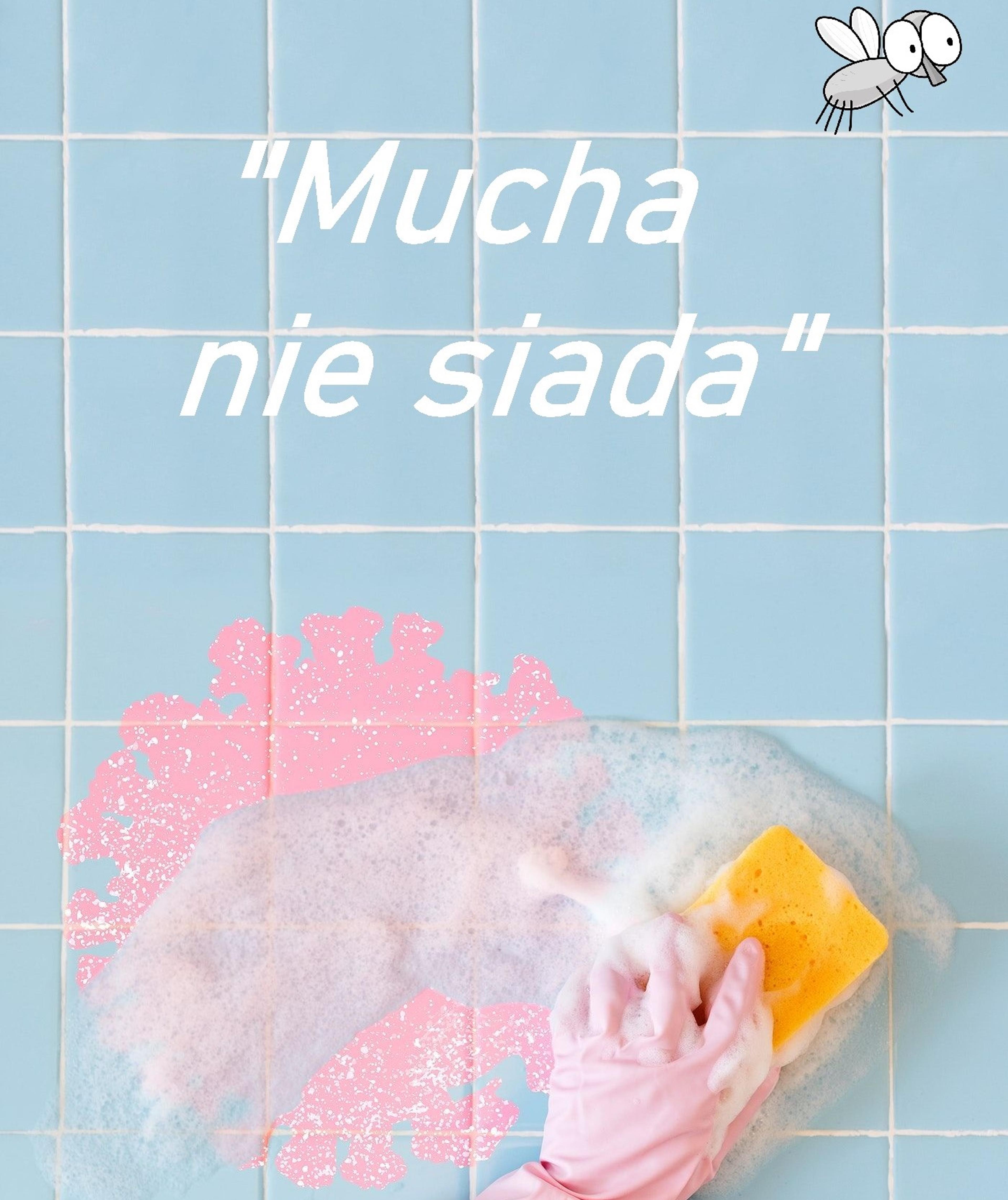 Dorota P.