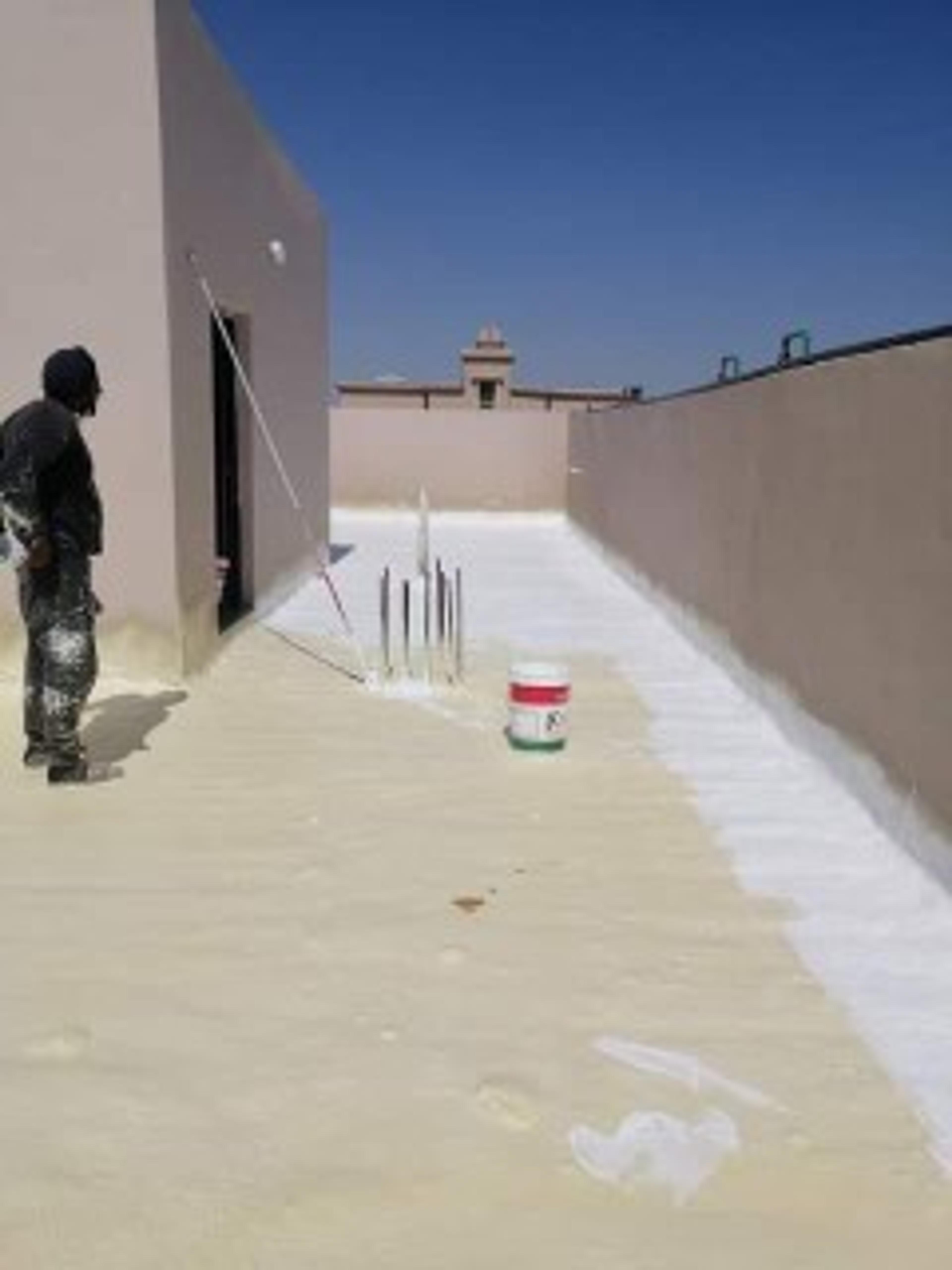 شركه المصطفي