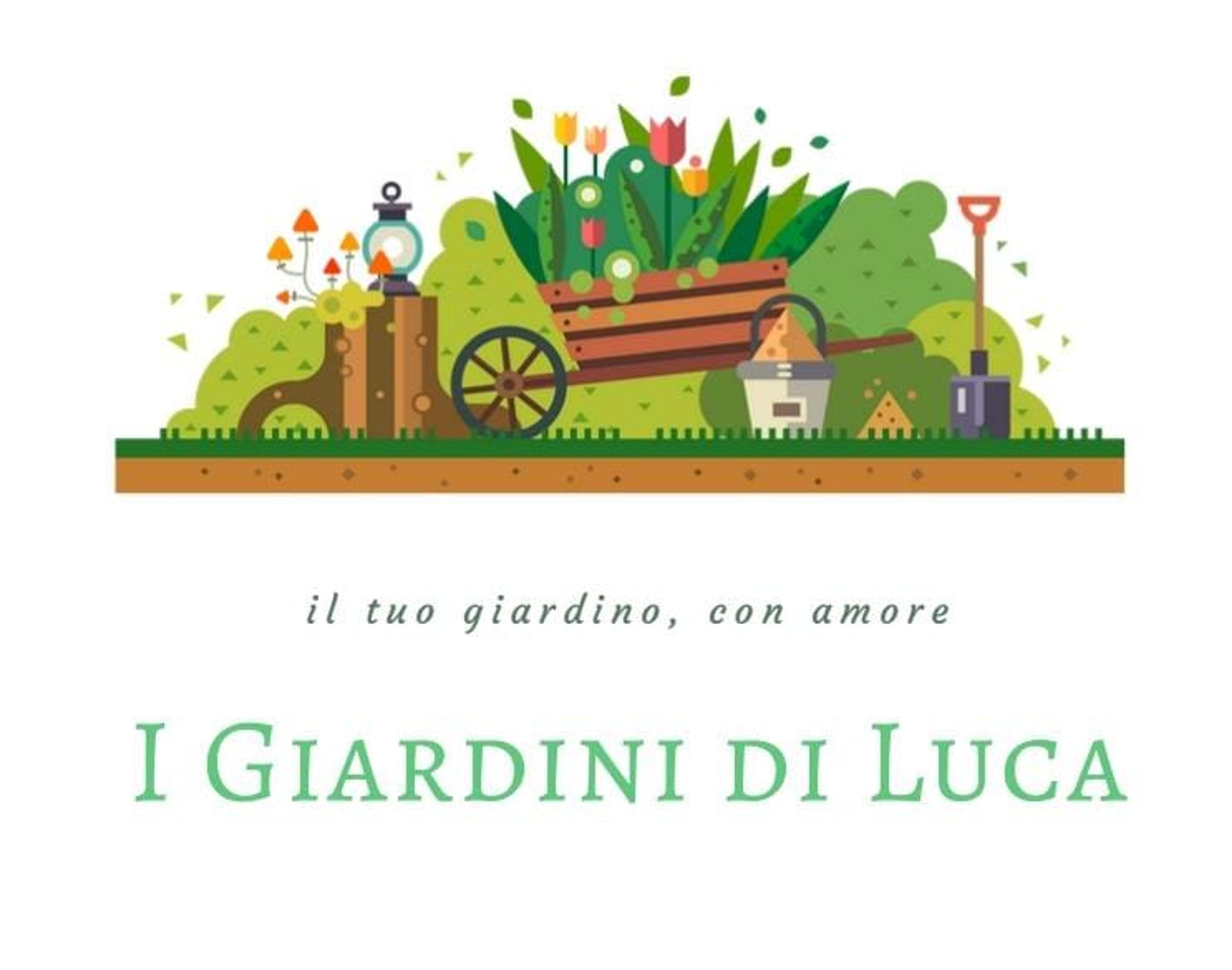 Luca Ristaino