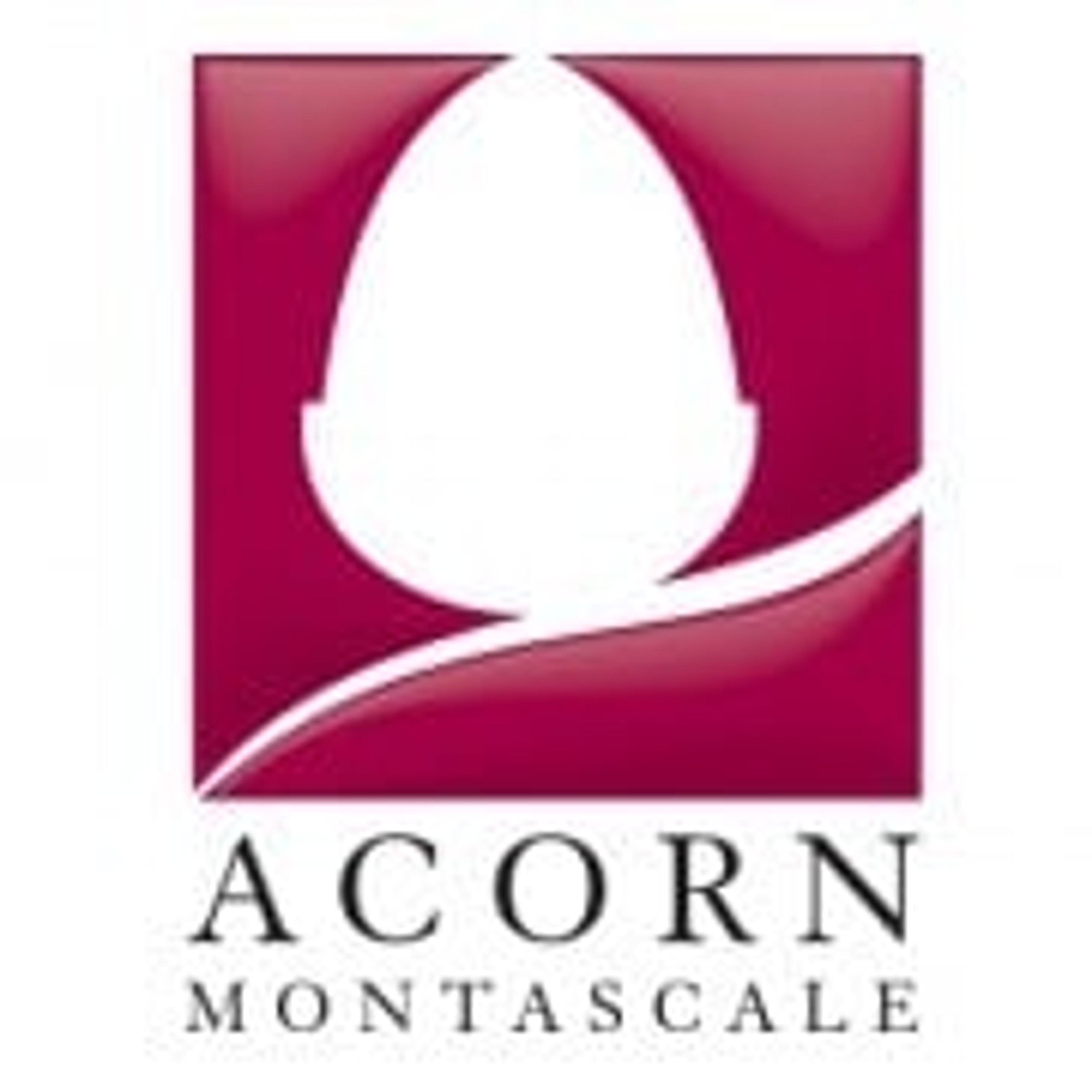 Acorn Montascale Srl Cagliari