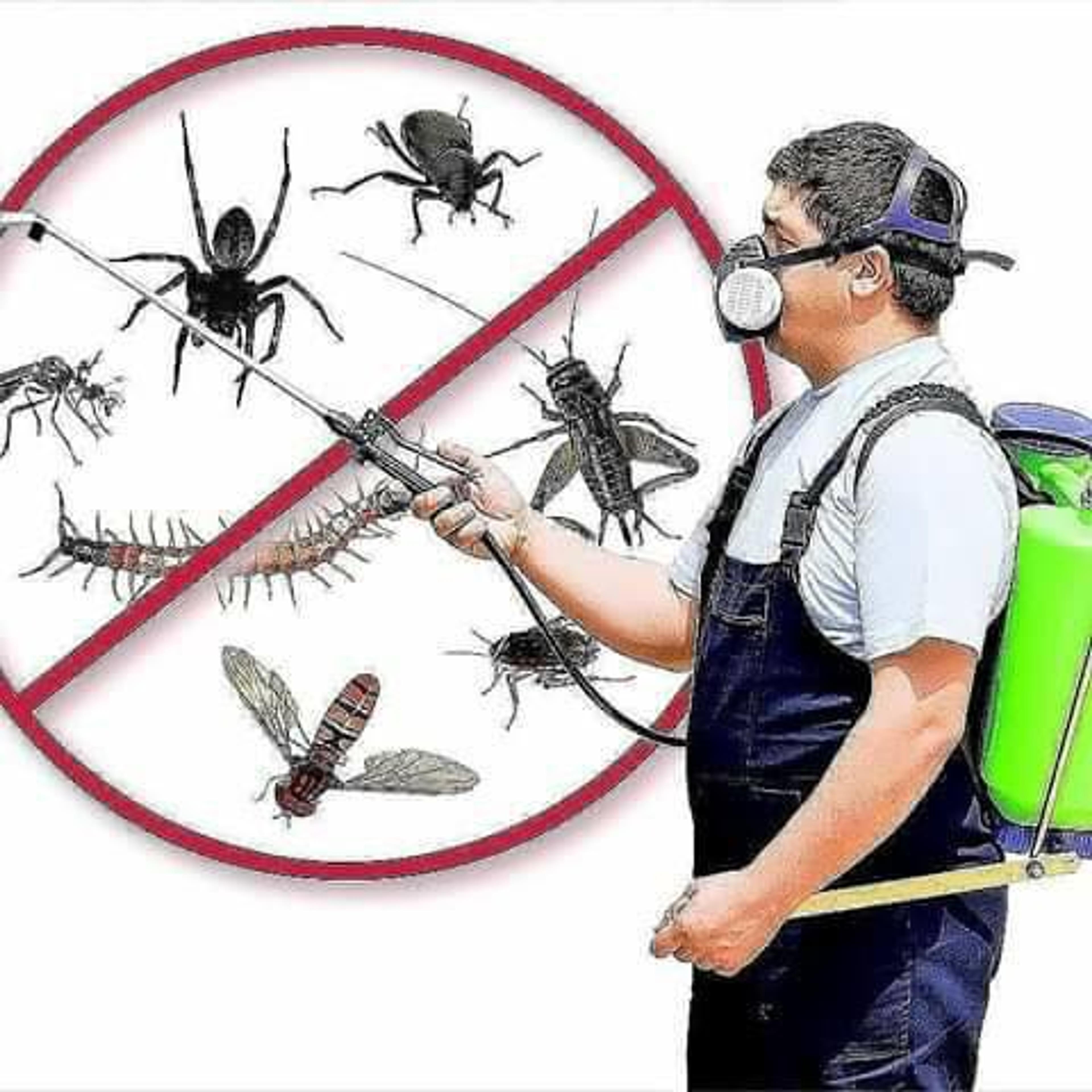 شركه النظافه السريعه ومكافحه الحشرات