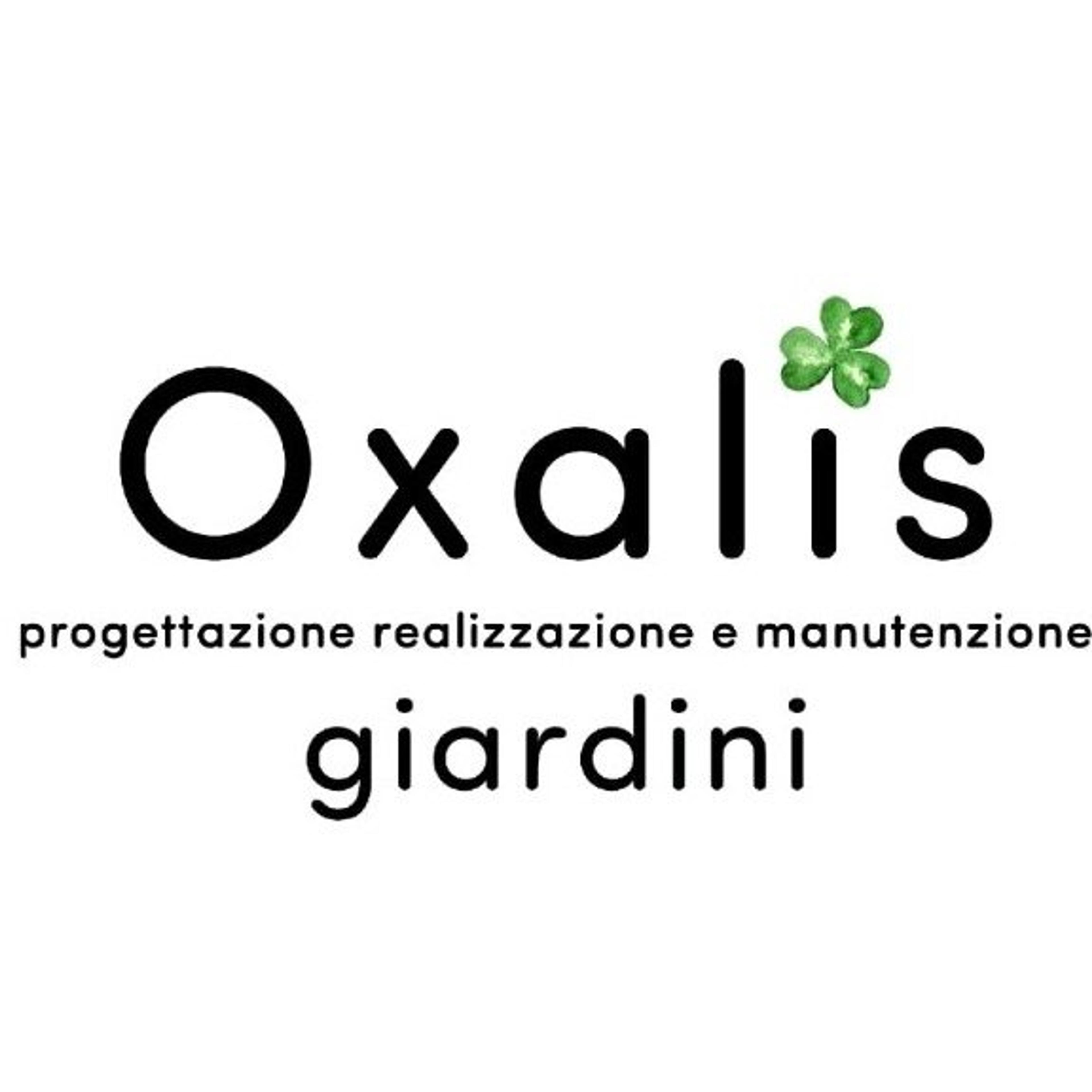 Oxalis.Land