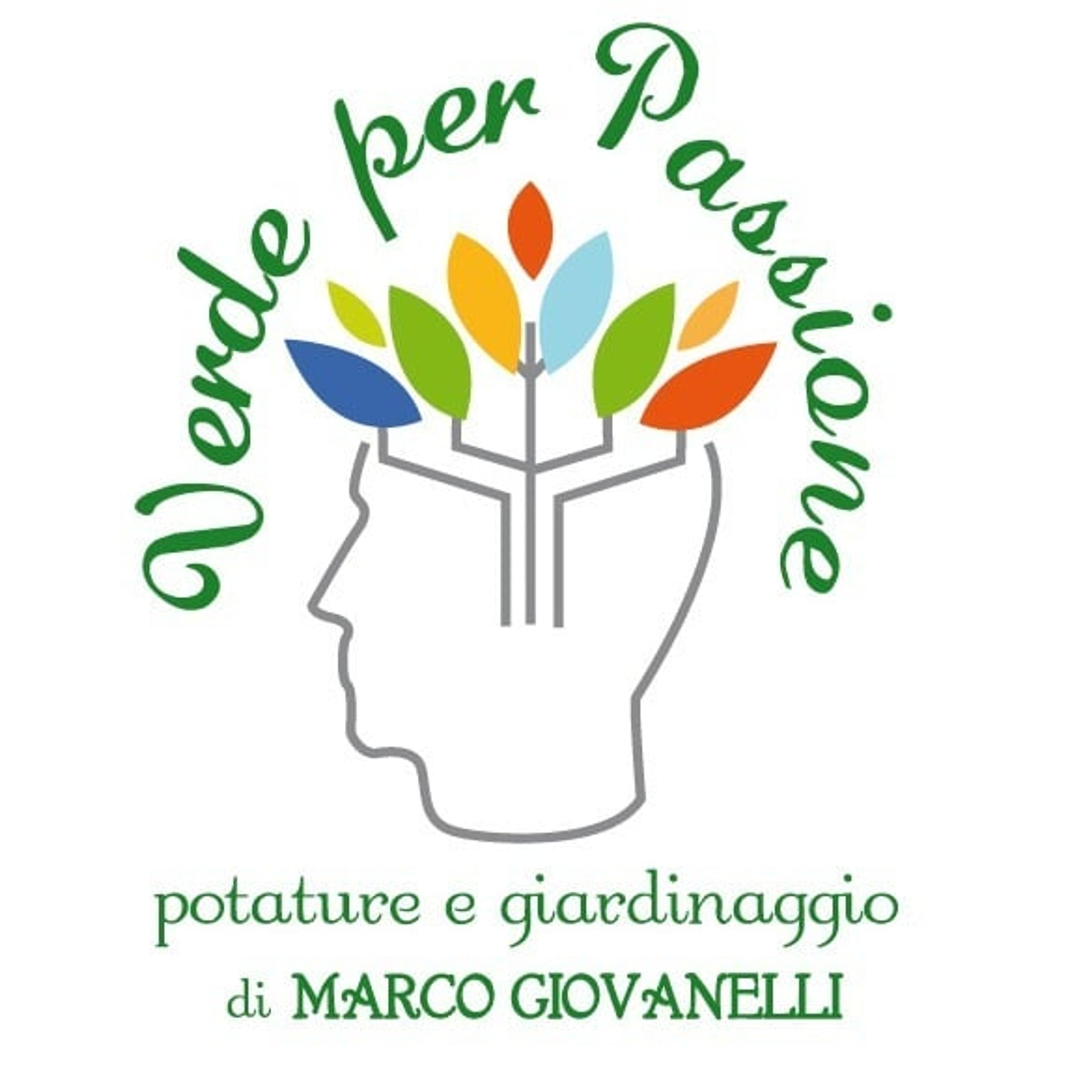 Verde per passione | Potature e giardinaggio