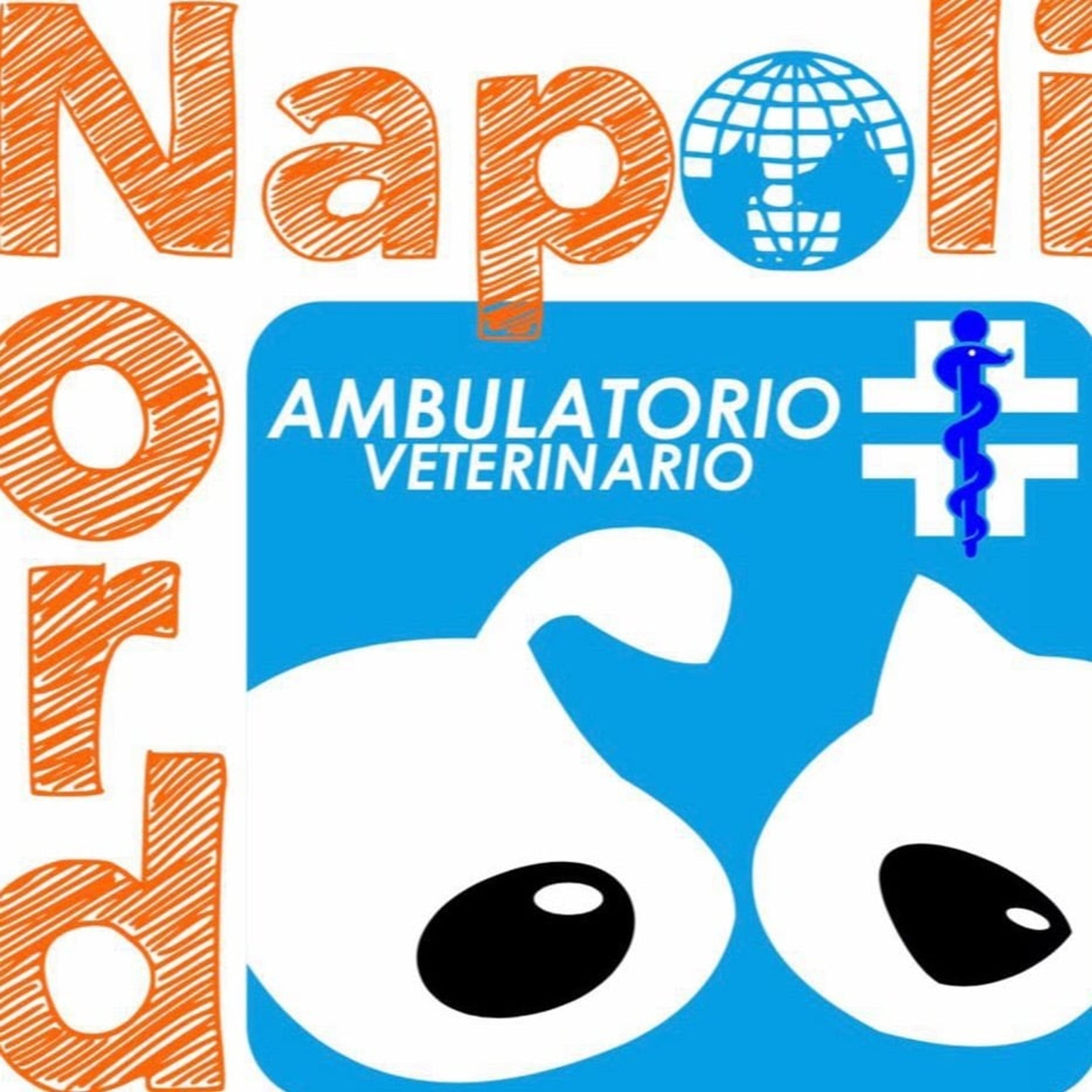 Ambulatorio Veterinario Napoli Nord