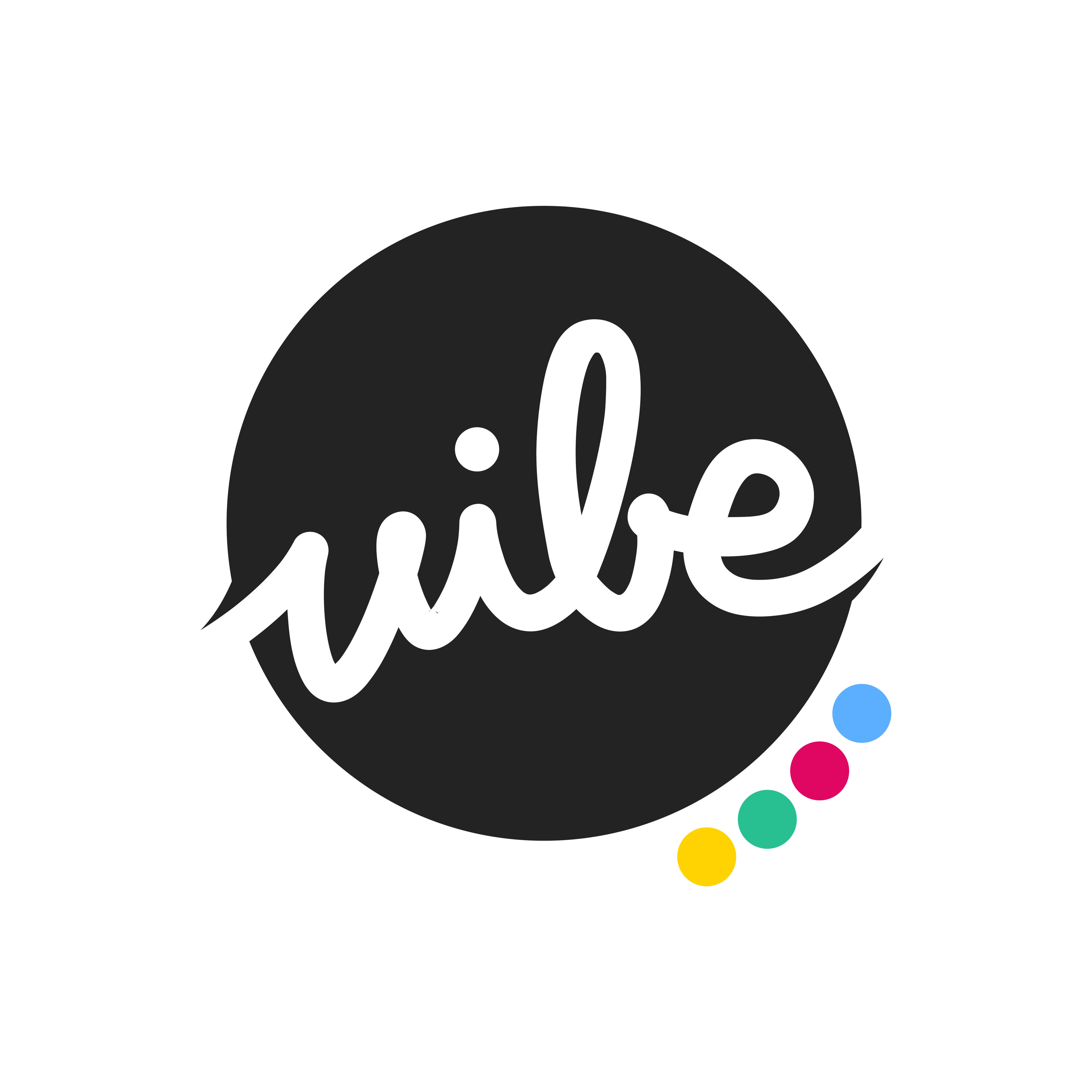 VIBE S.R.L.S.