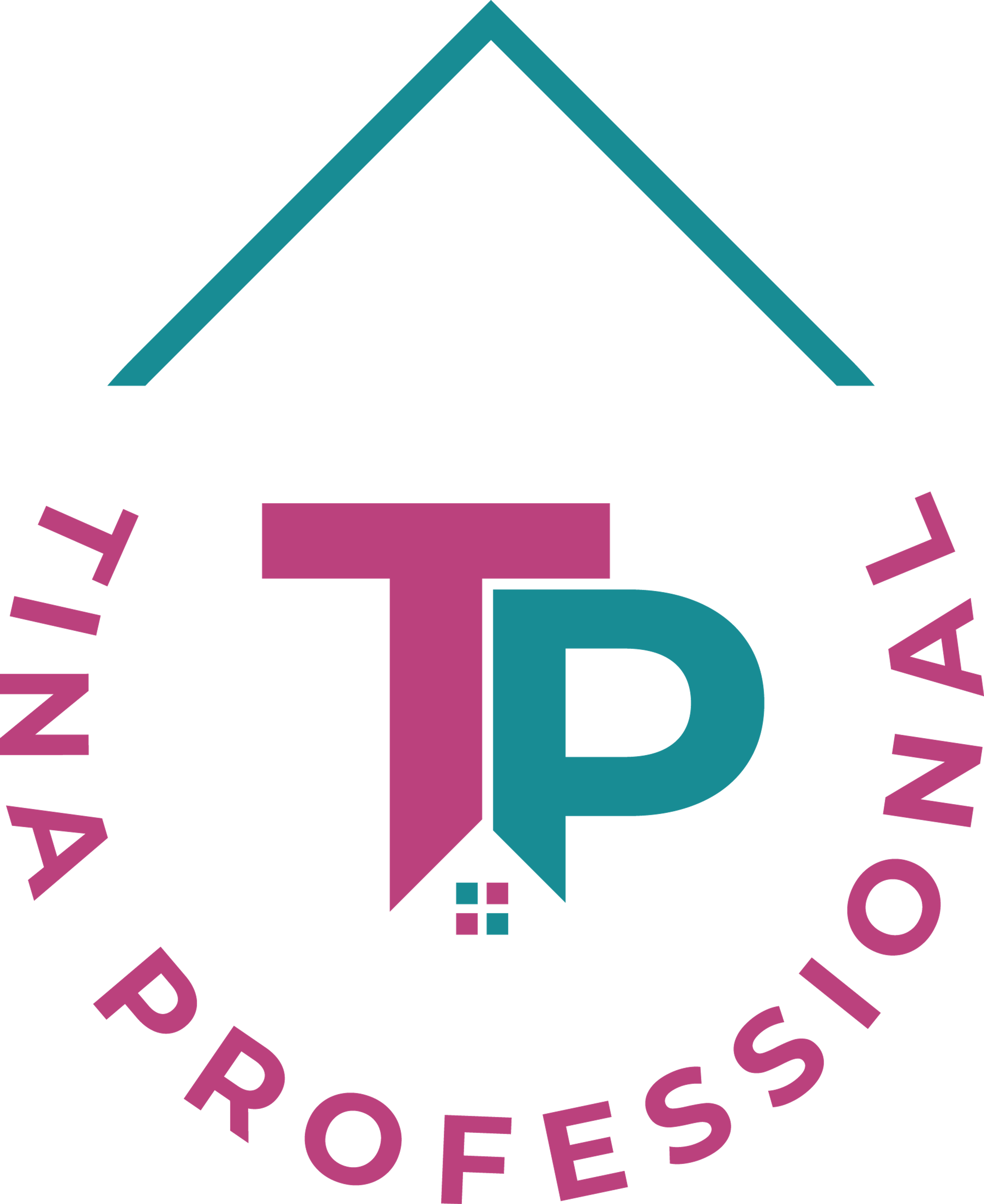 Tinaprofessional ltd
