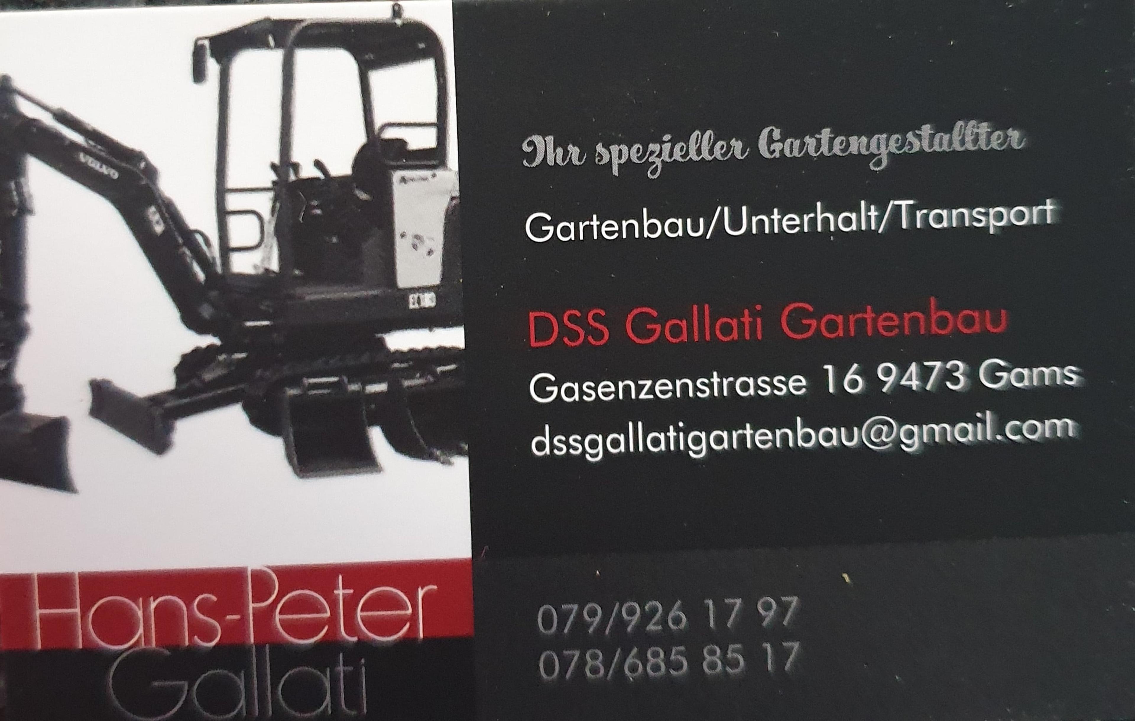 Hans-peter Gallati