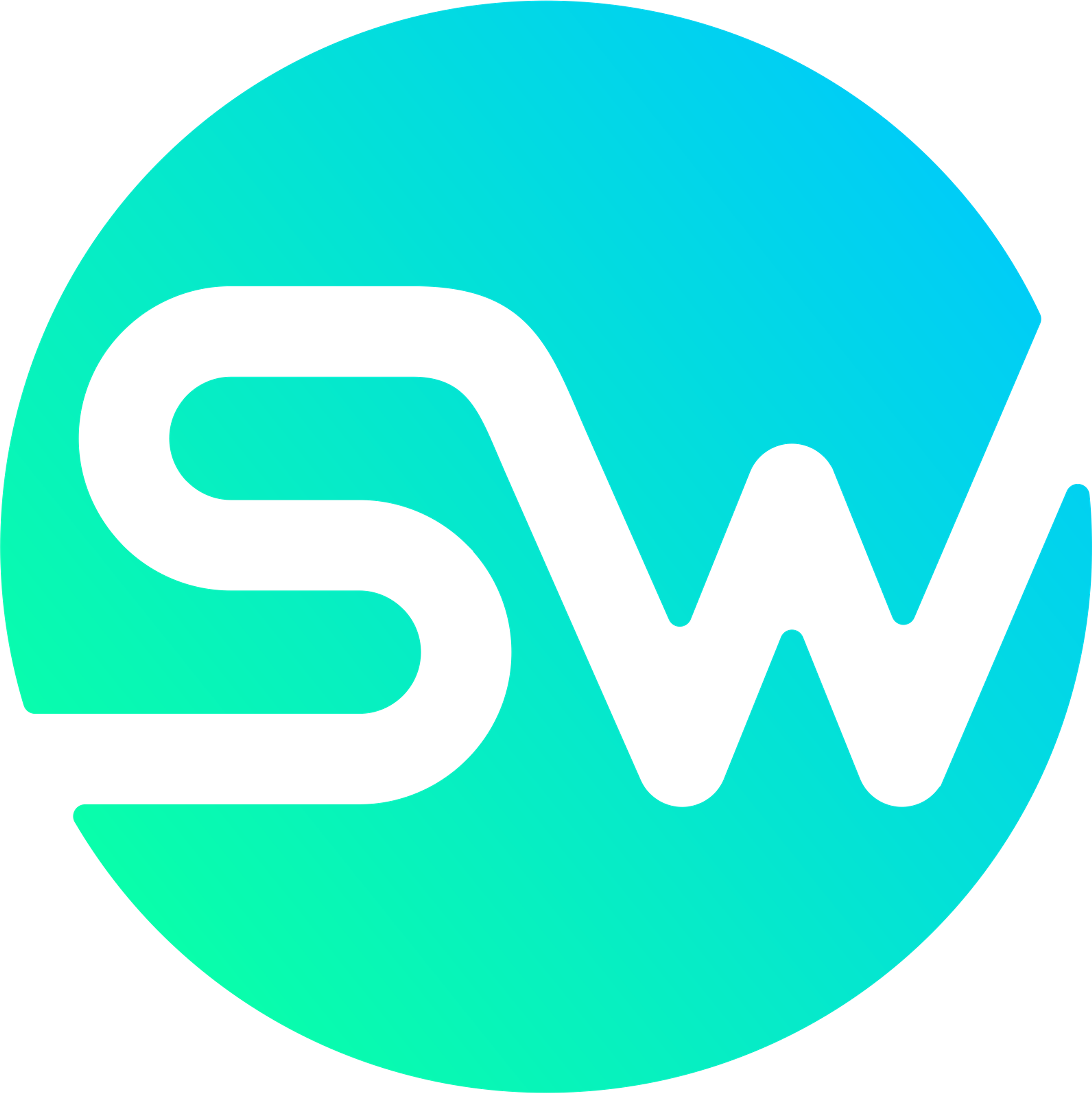SW Clean