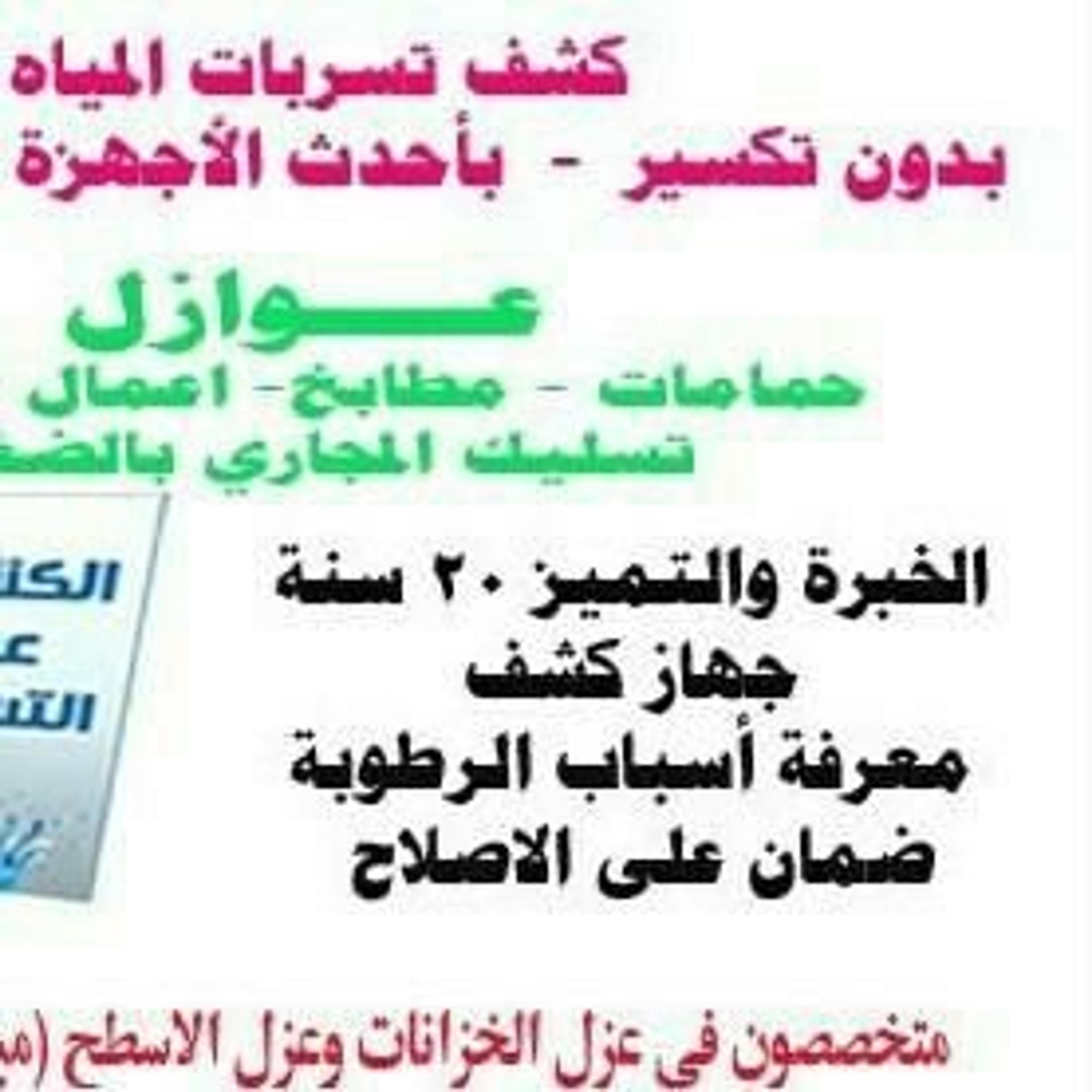 الرضوى