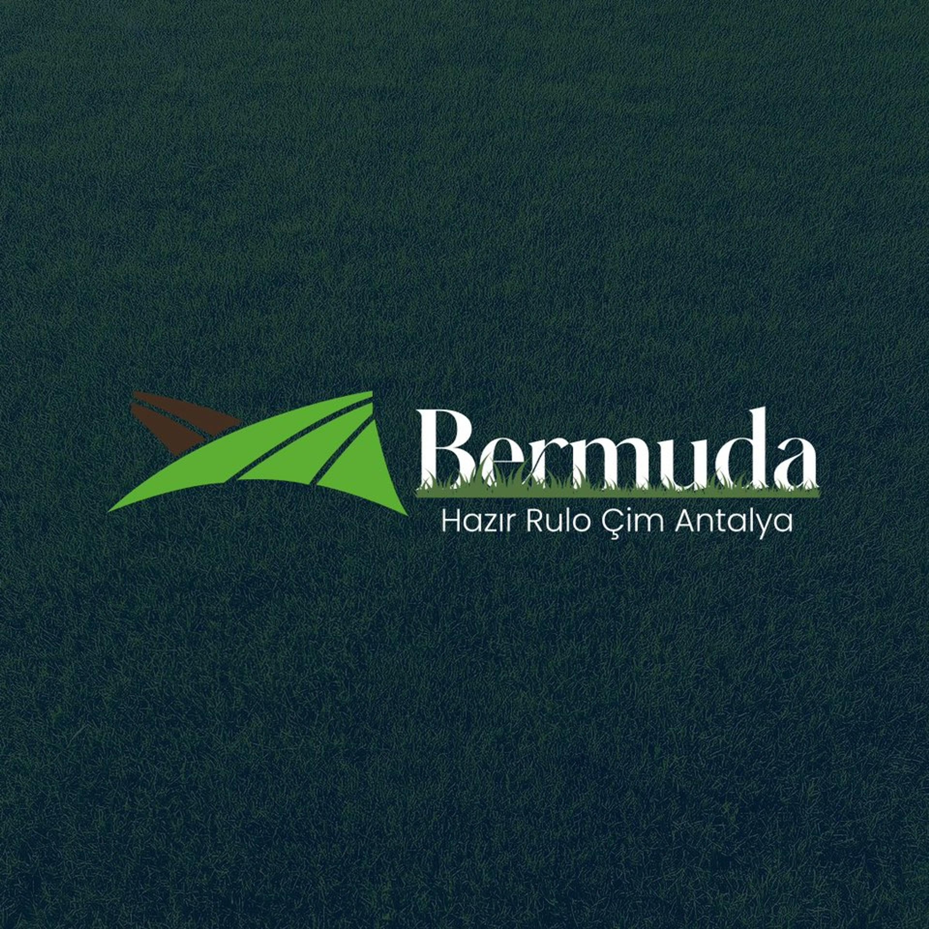 Bermuda Çim