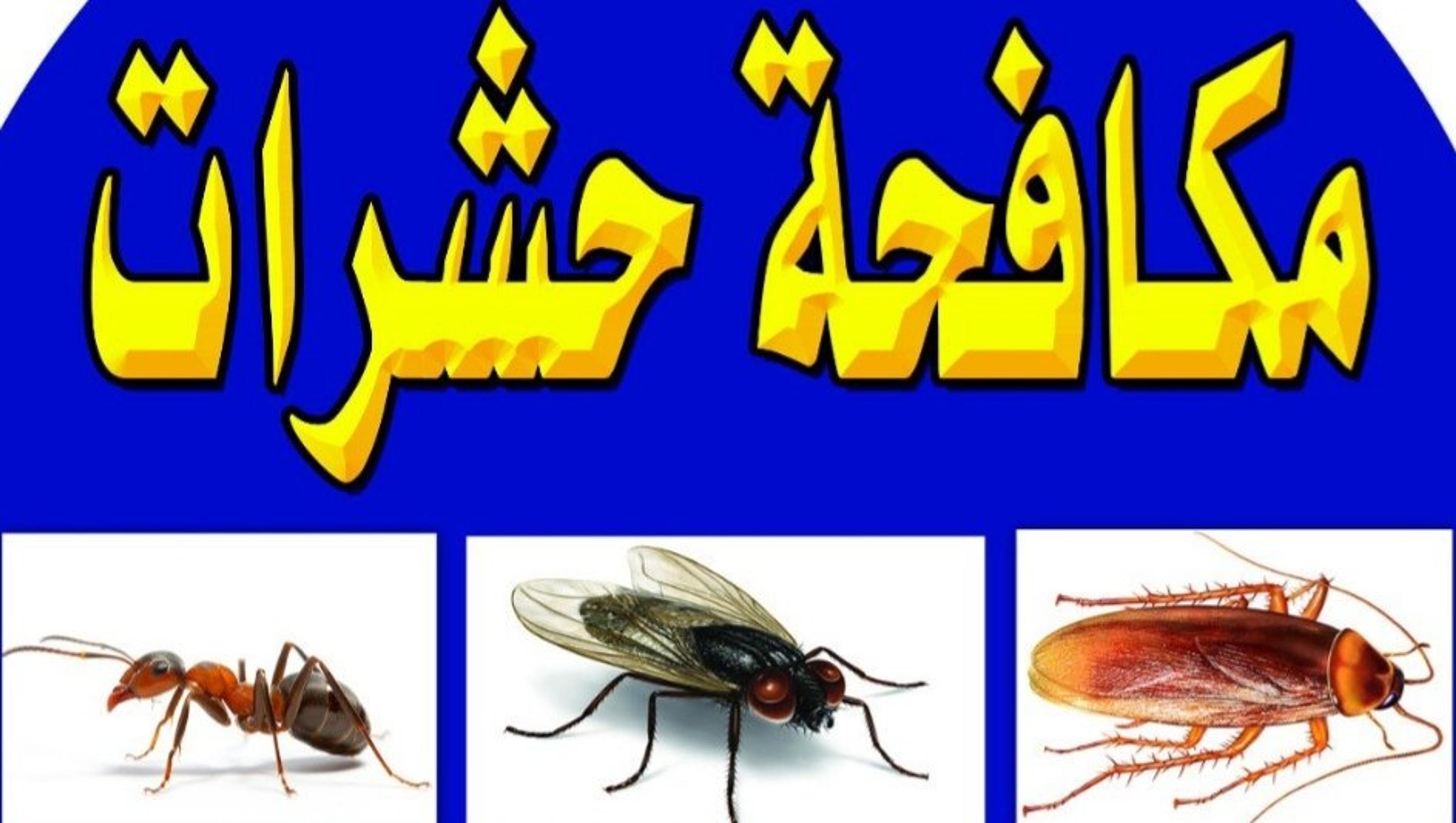 شركة مكافحة حشرات بالضمان اقل سعر مبيد الماني