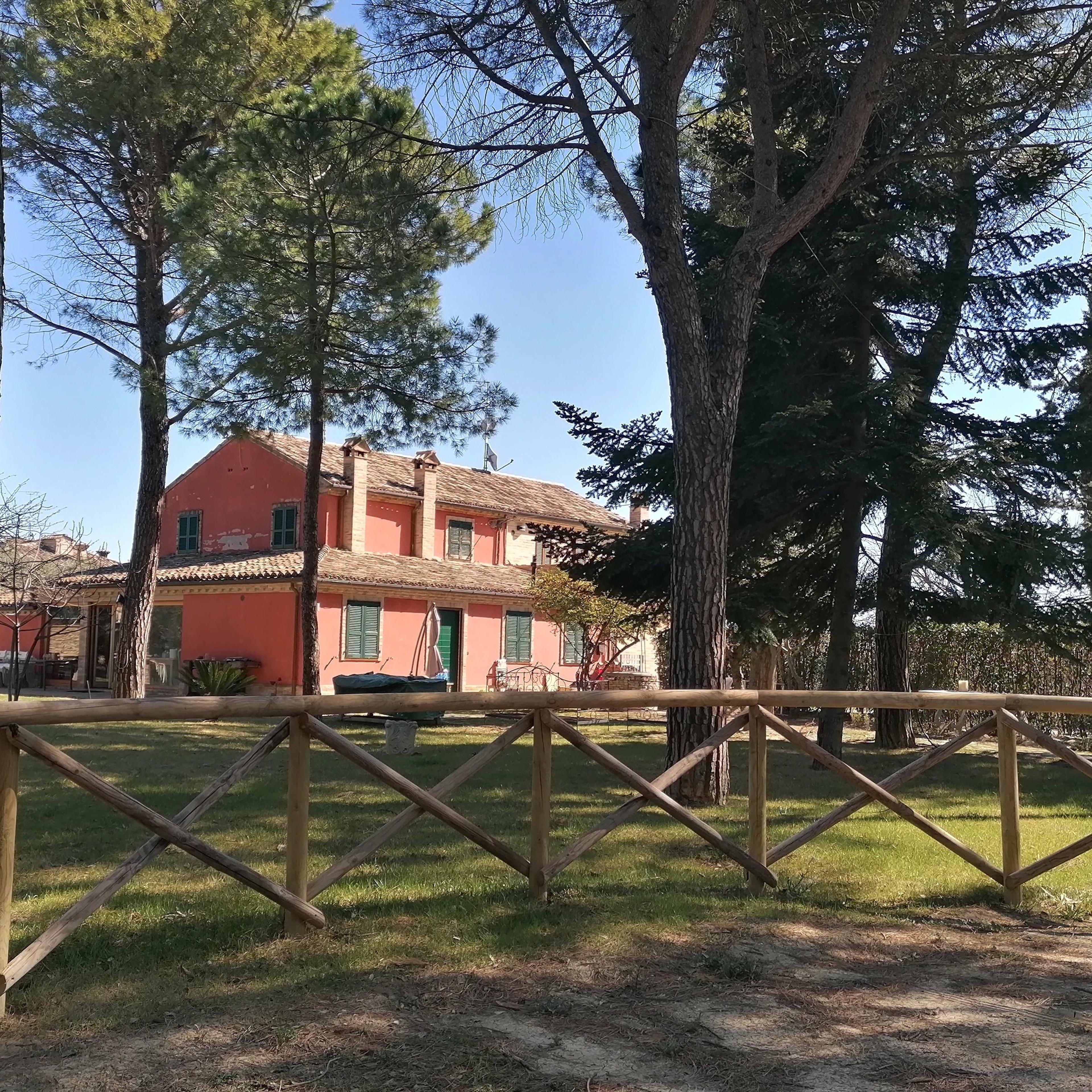 Iole Celi
