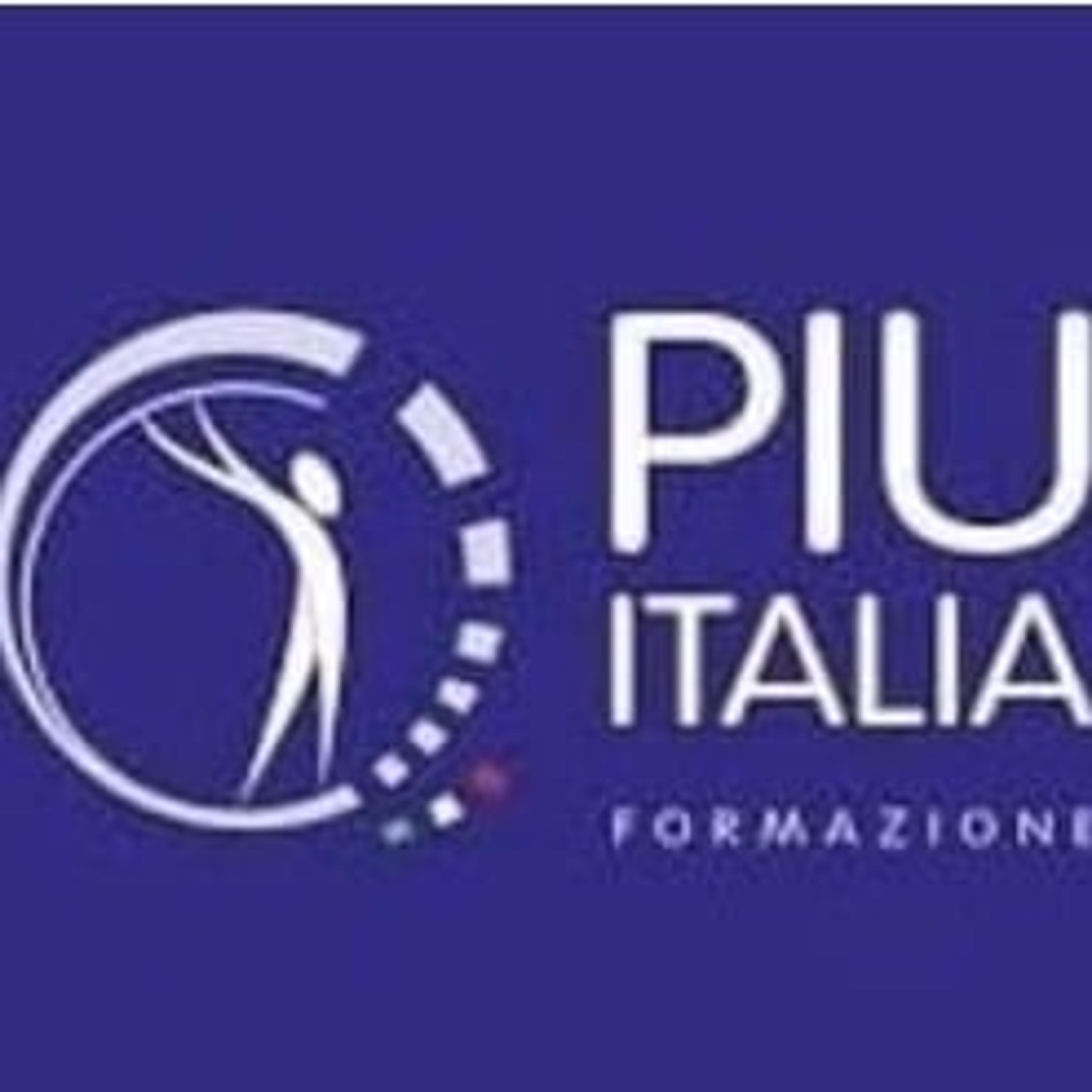 PIUITALIA Associazione Mestieri Italiani