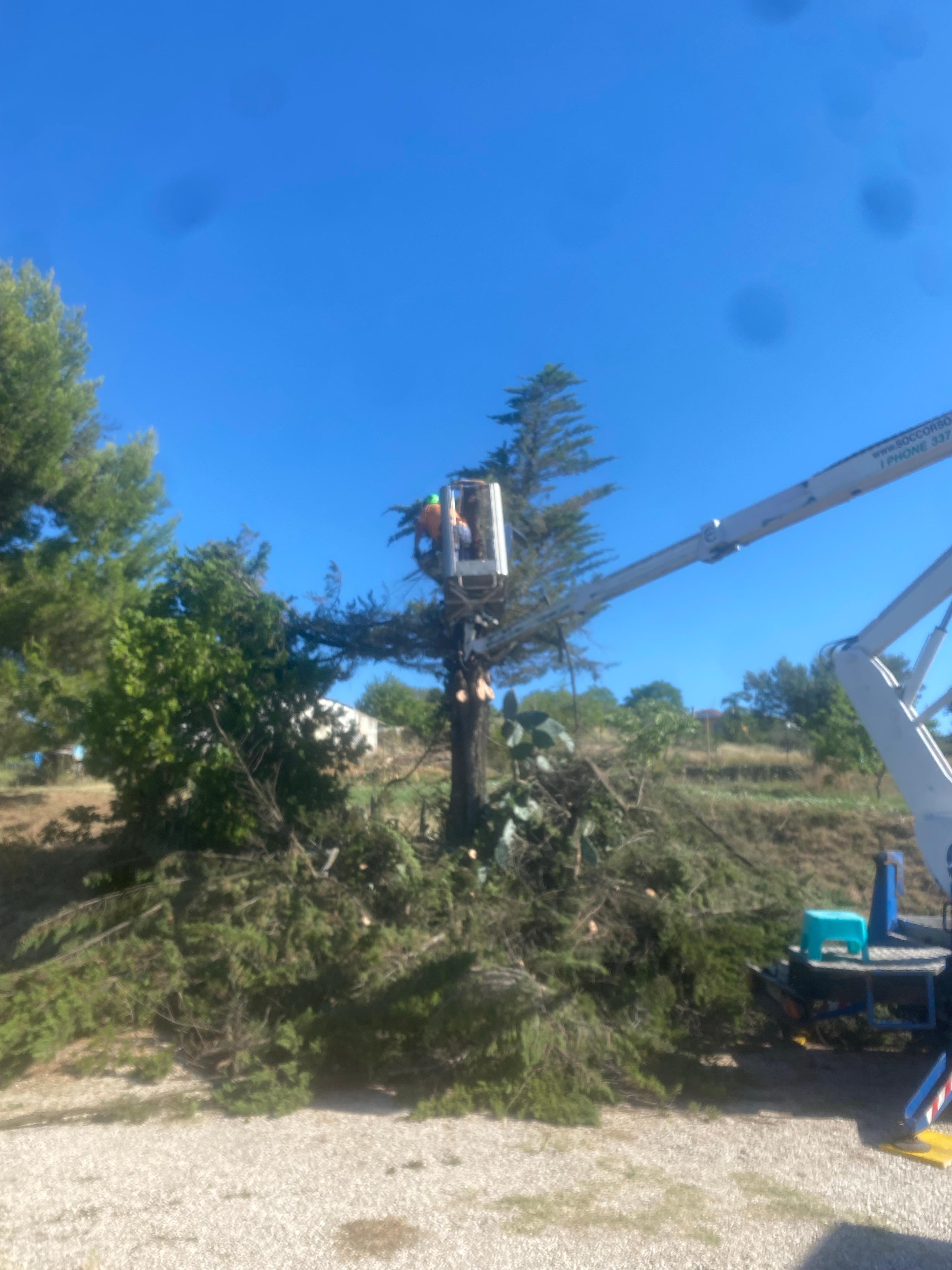 SOCCORSO ALBERI ABRUZZO