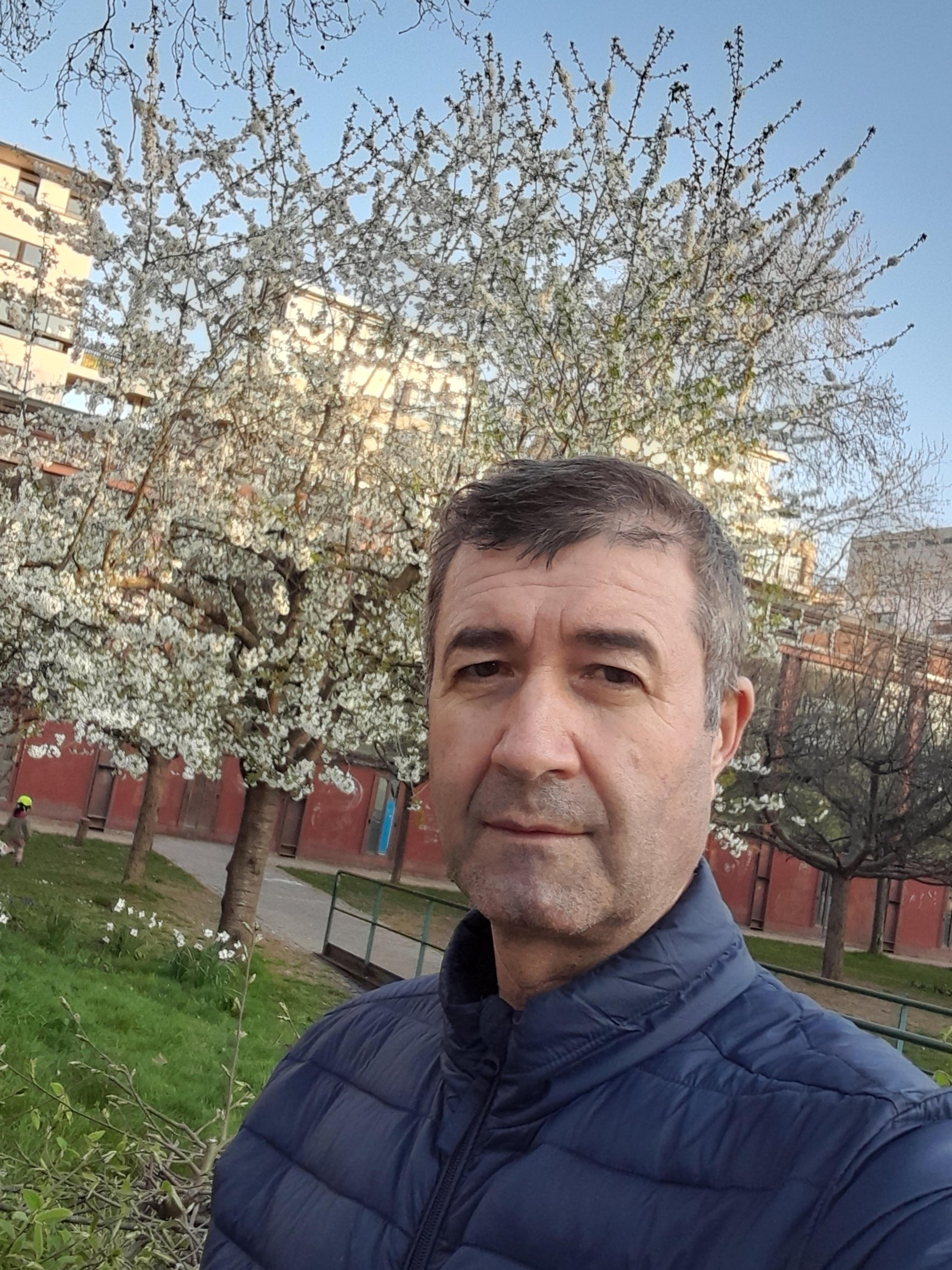 Ion David