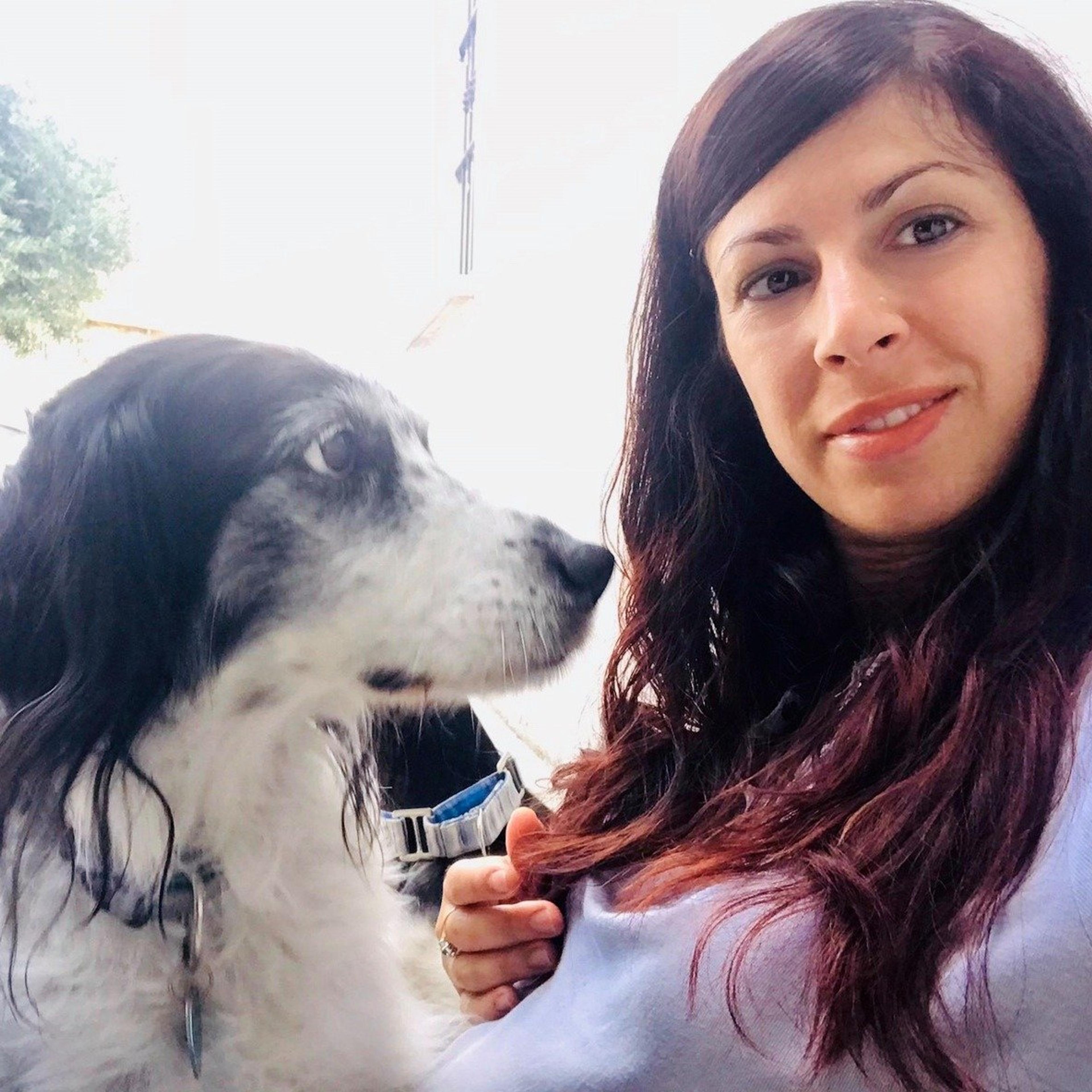 Il Mio Bravo Cane