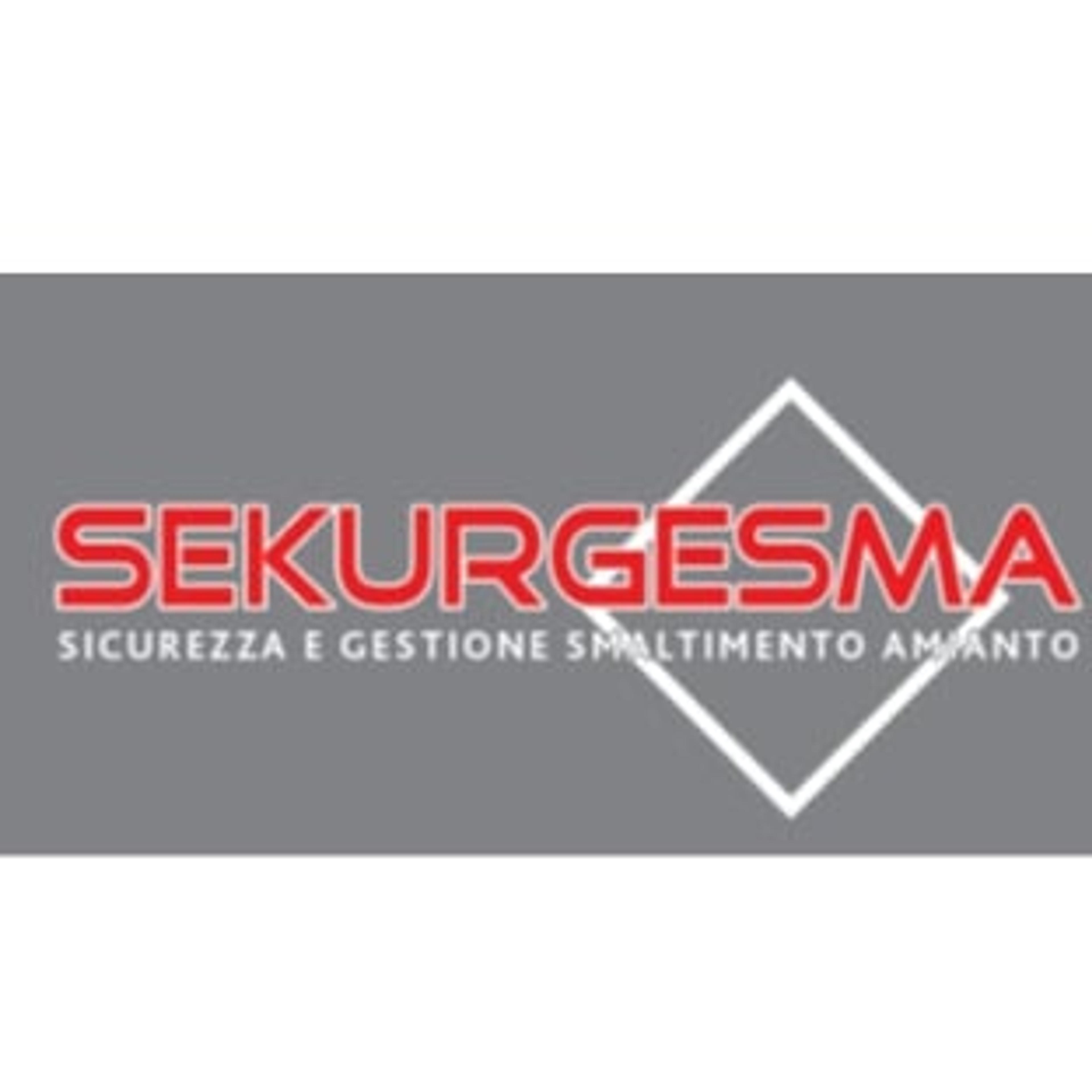 SEKURGESMA SRL