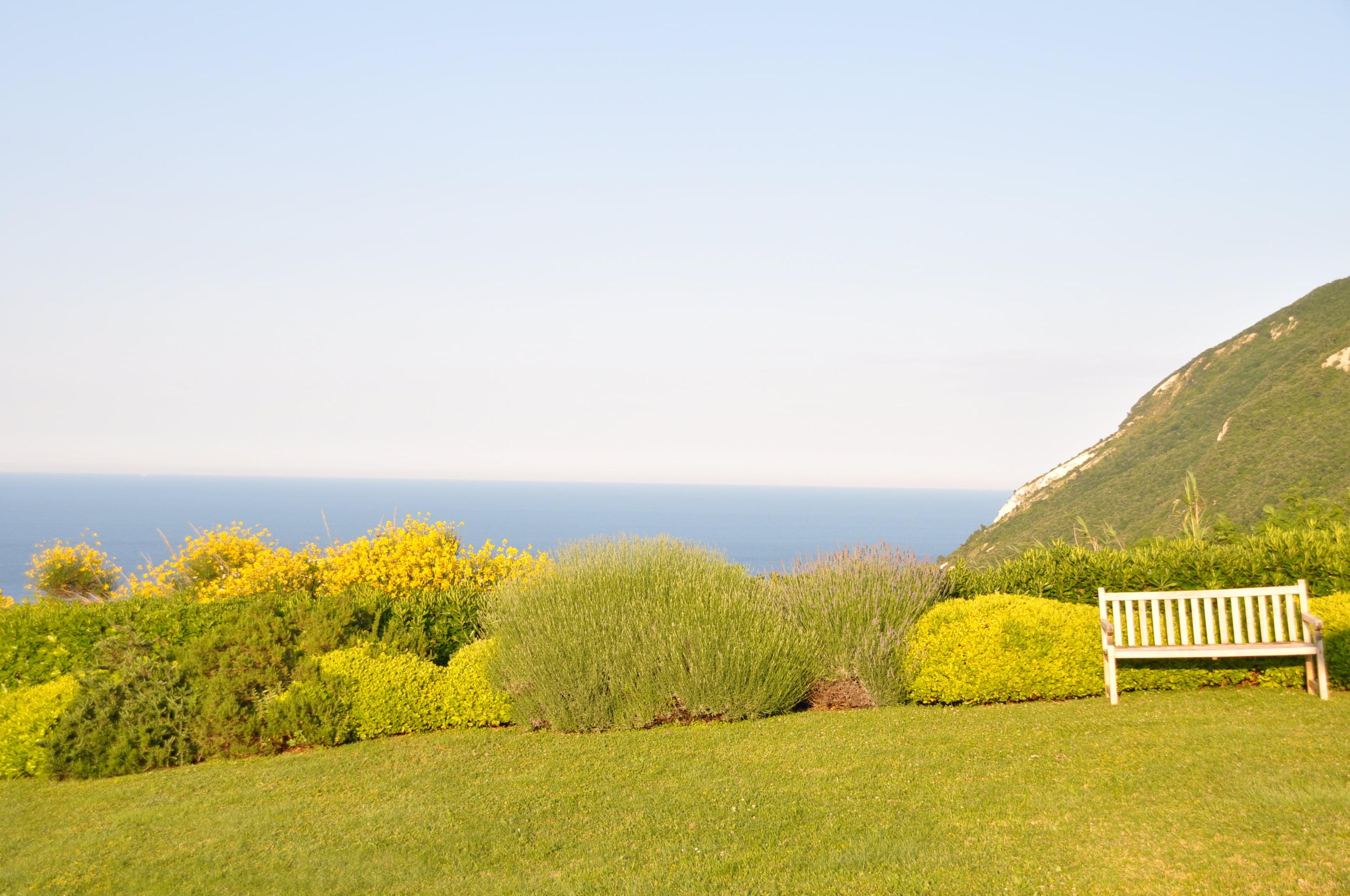 Disinfestazione e giardinaggio miglioriamo il tuo ambiente