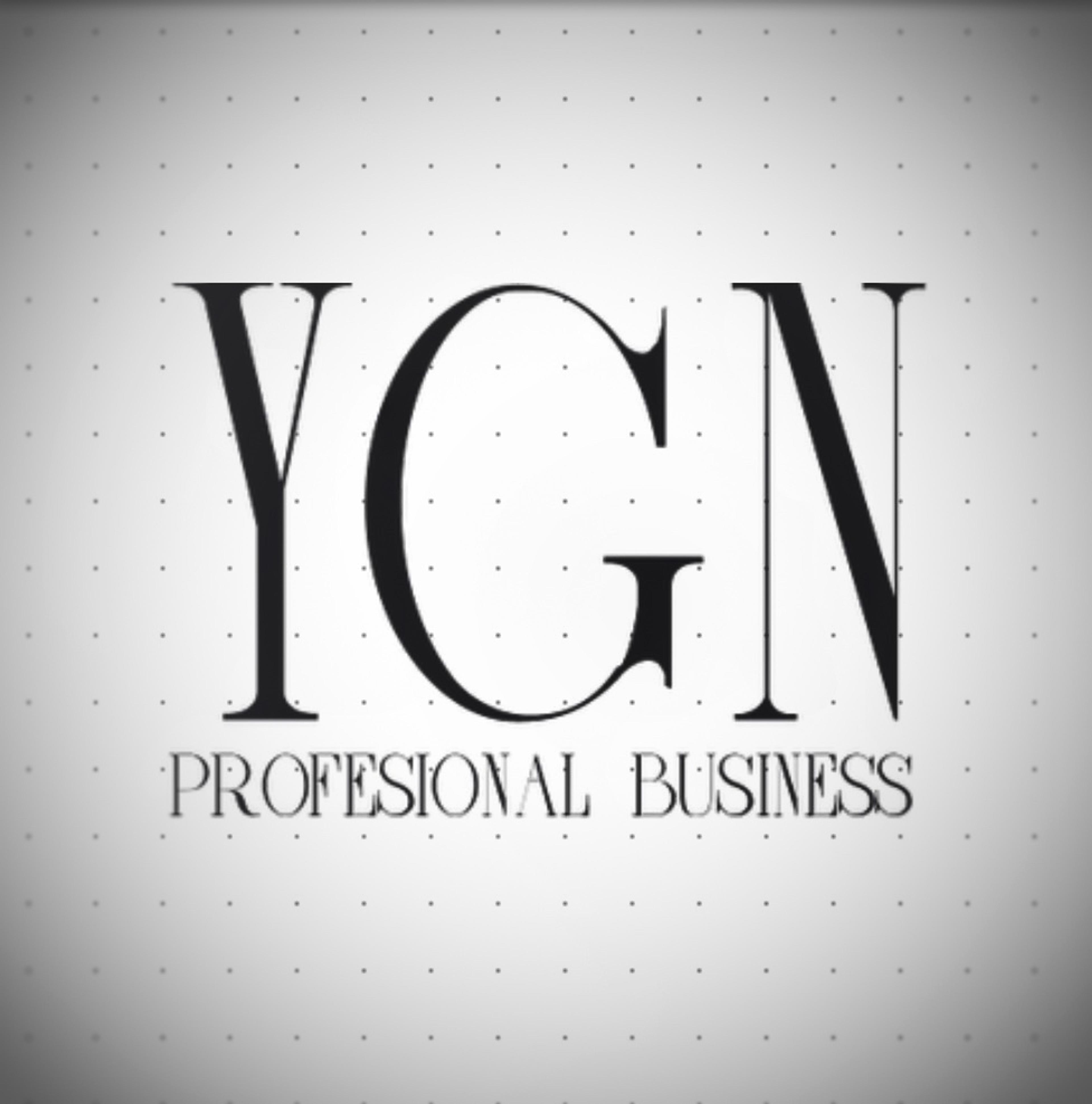 YGN PROFESSIONAL BUSINESS