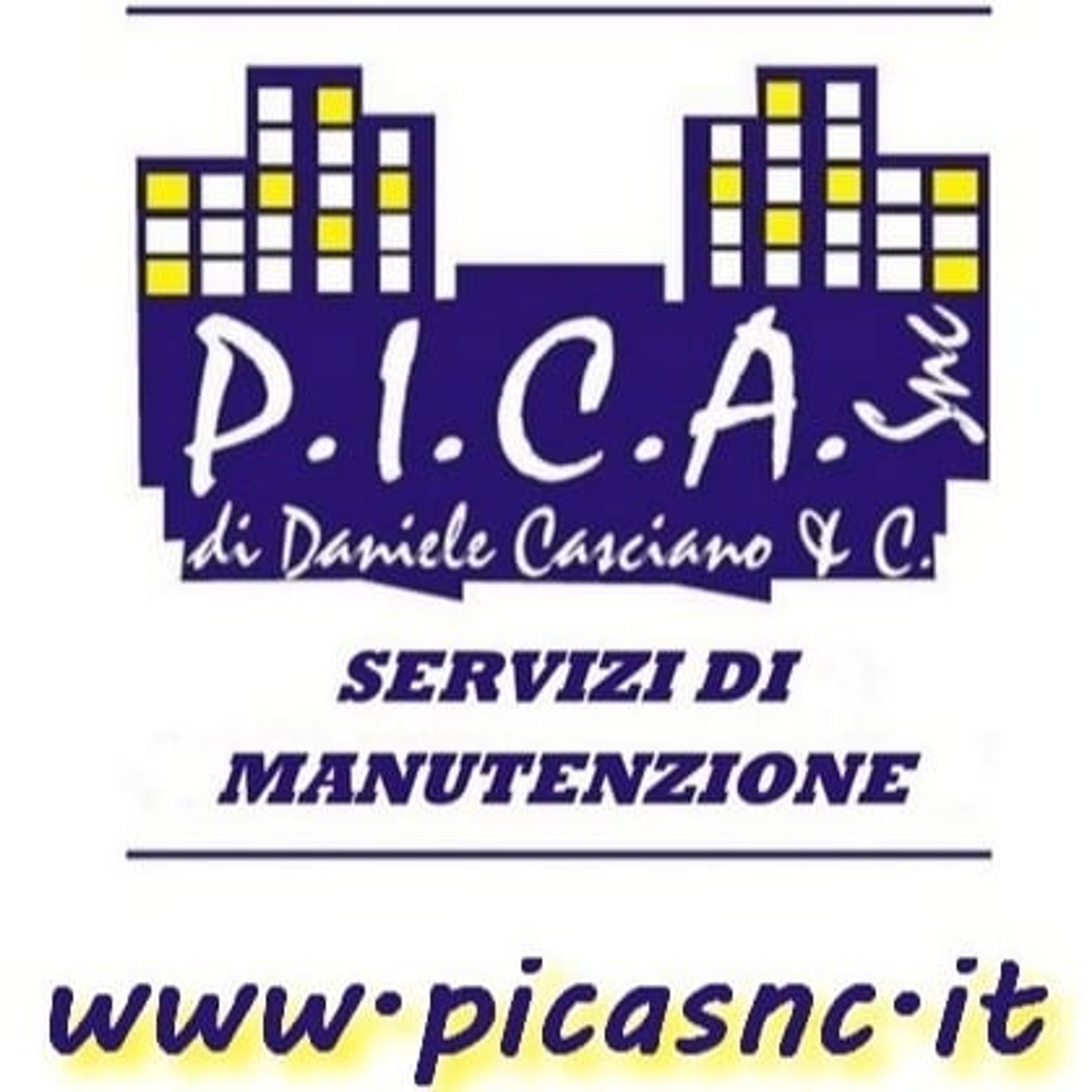P.I.C.A. Snc