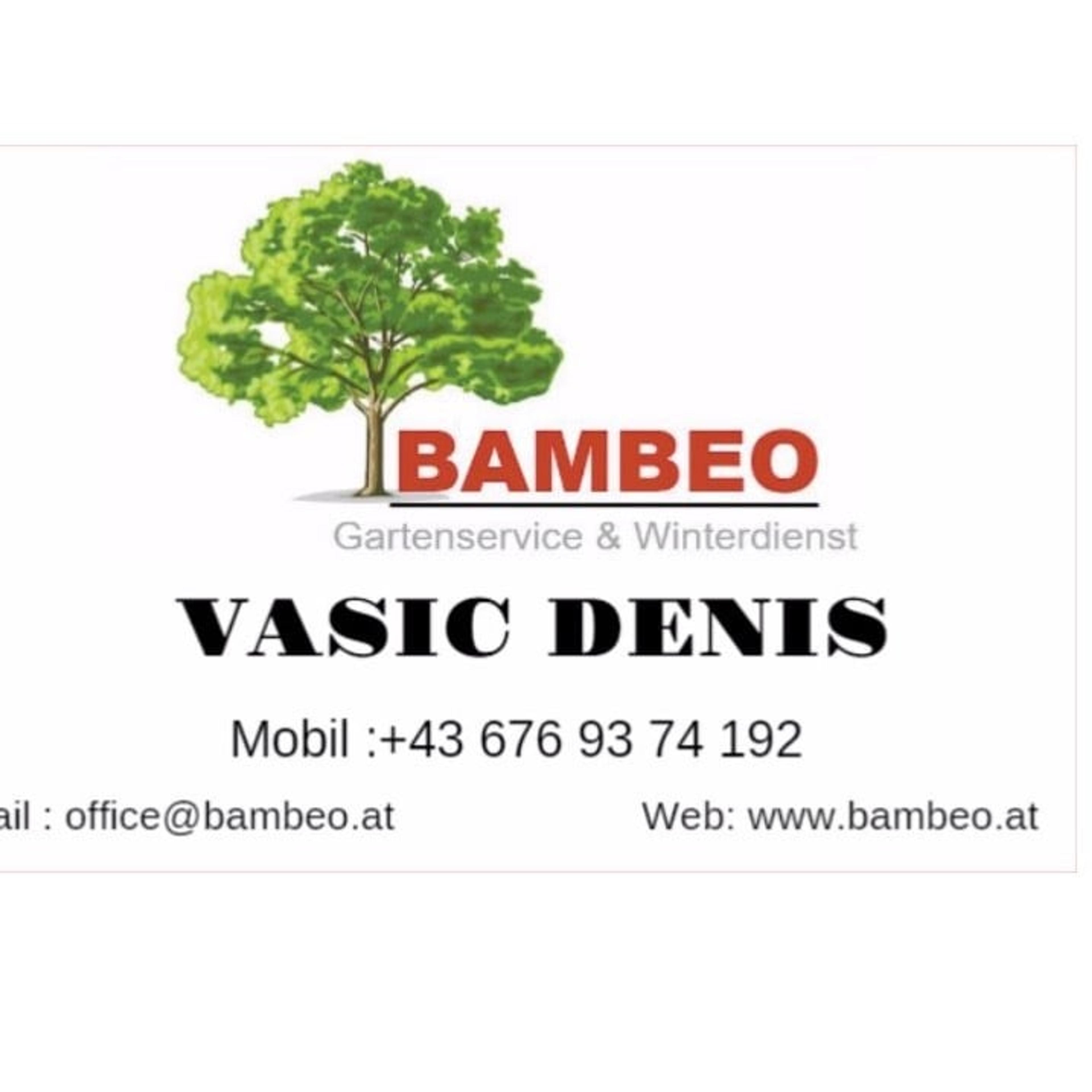 Denis Vasic