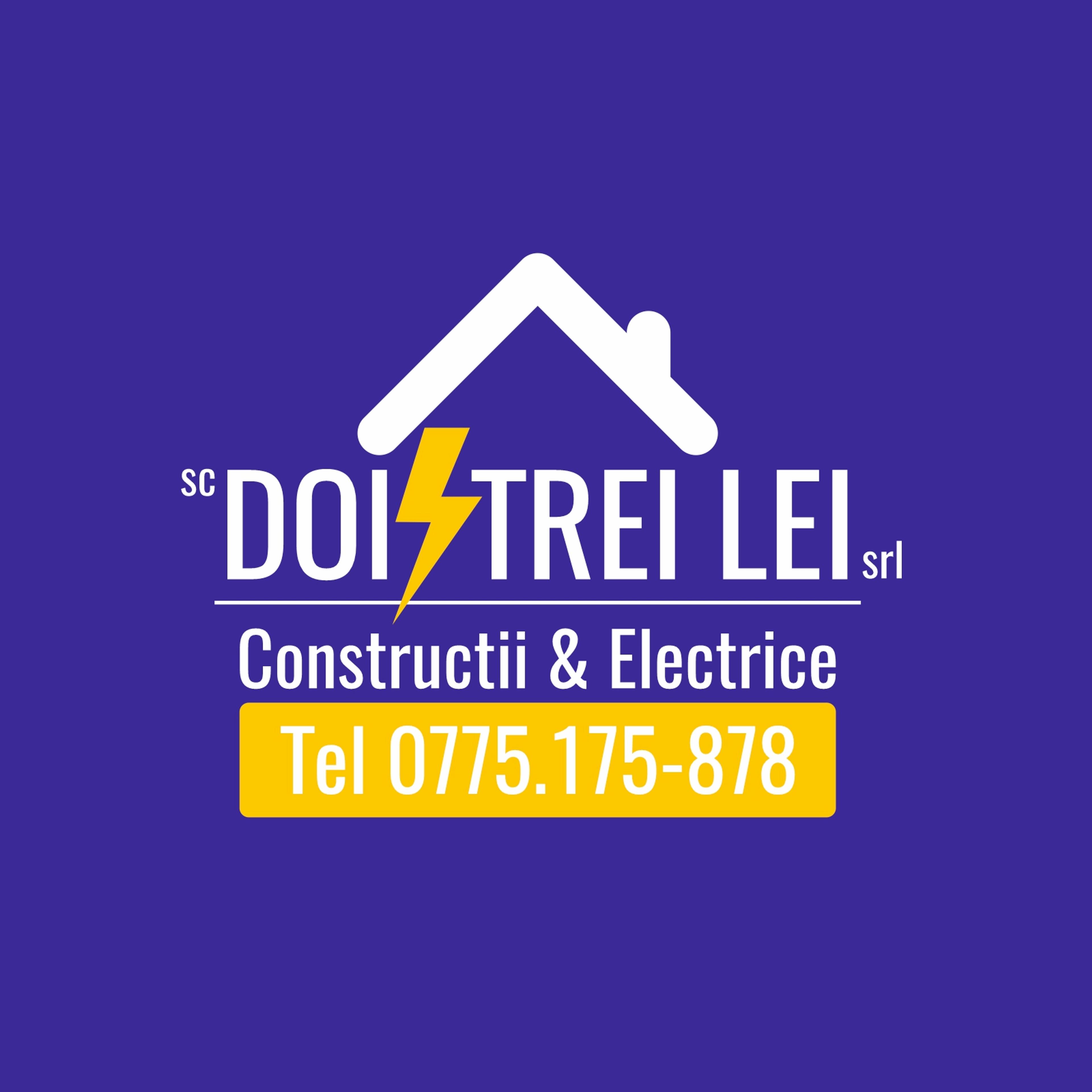 DOI TREI LEI SRL