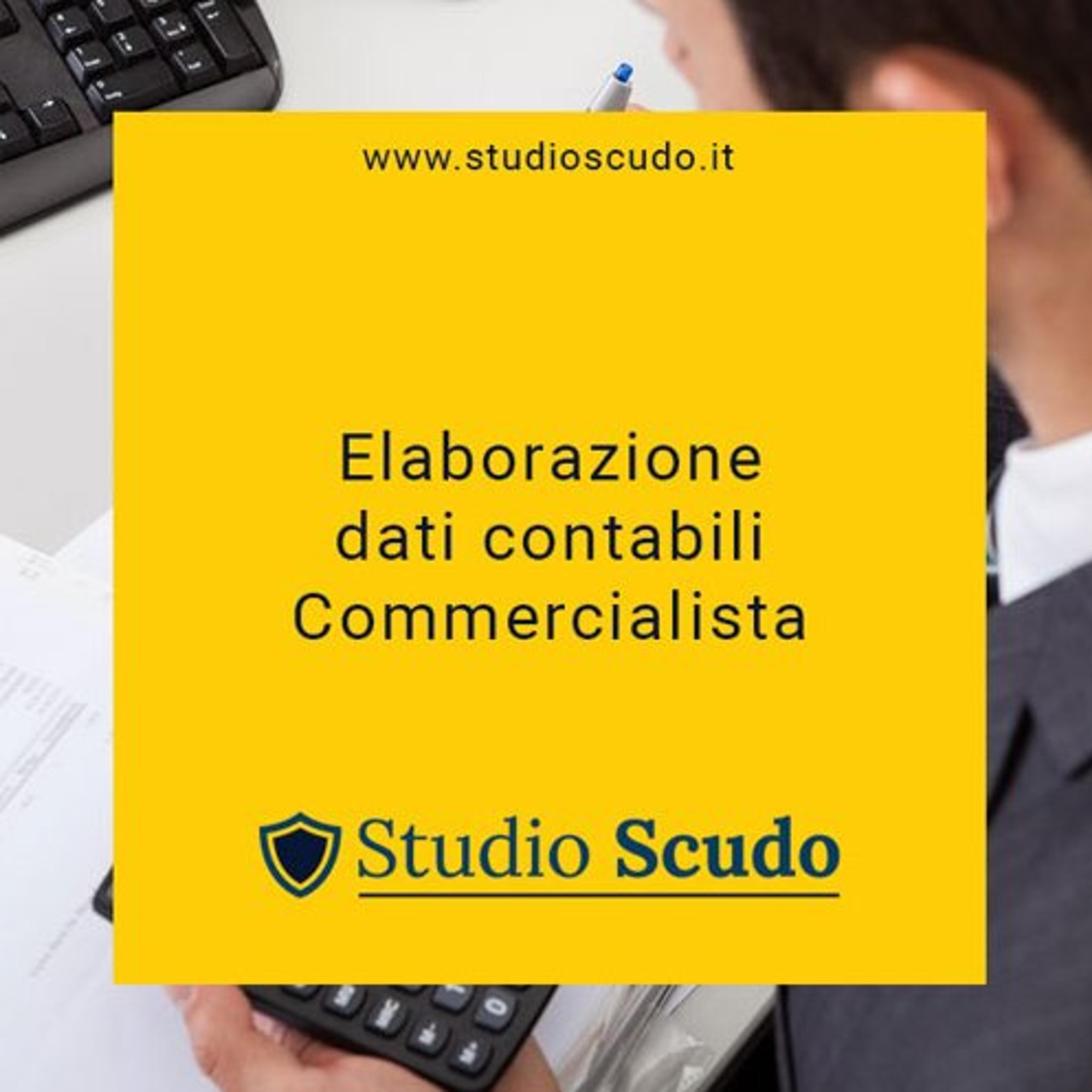 SCUDO DATA AND SERVICES SRL